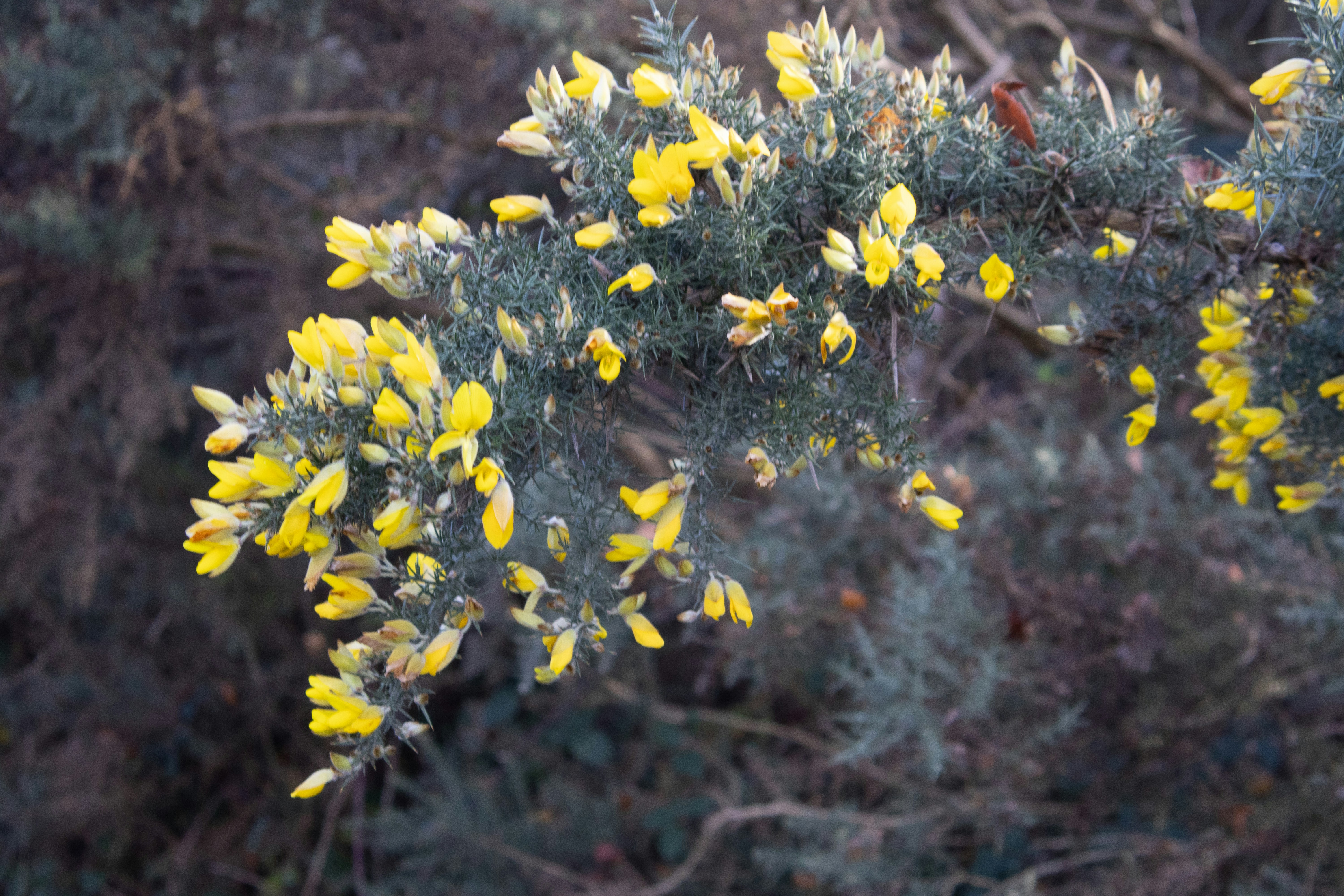 Photo by tanyabarrow