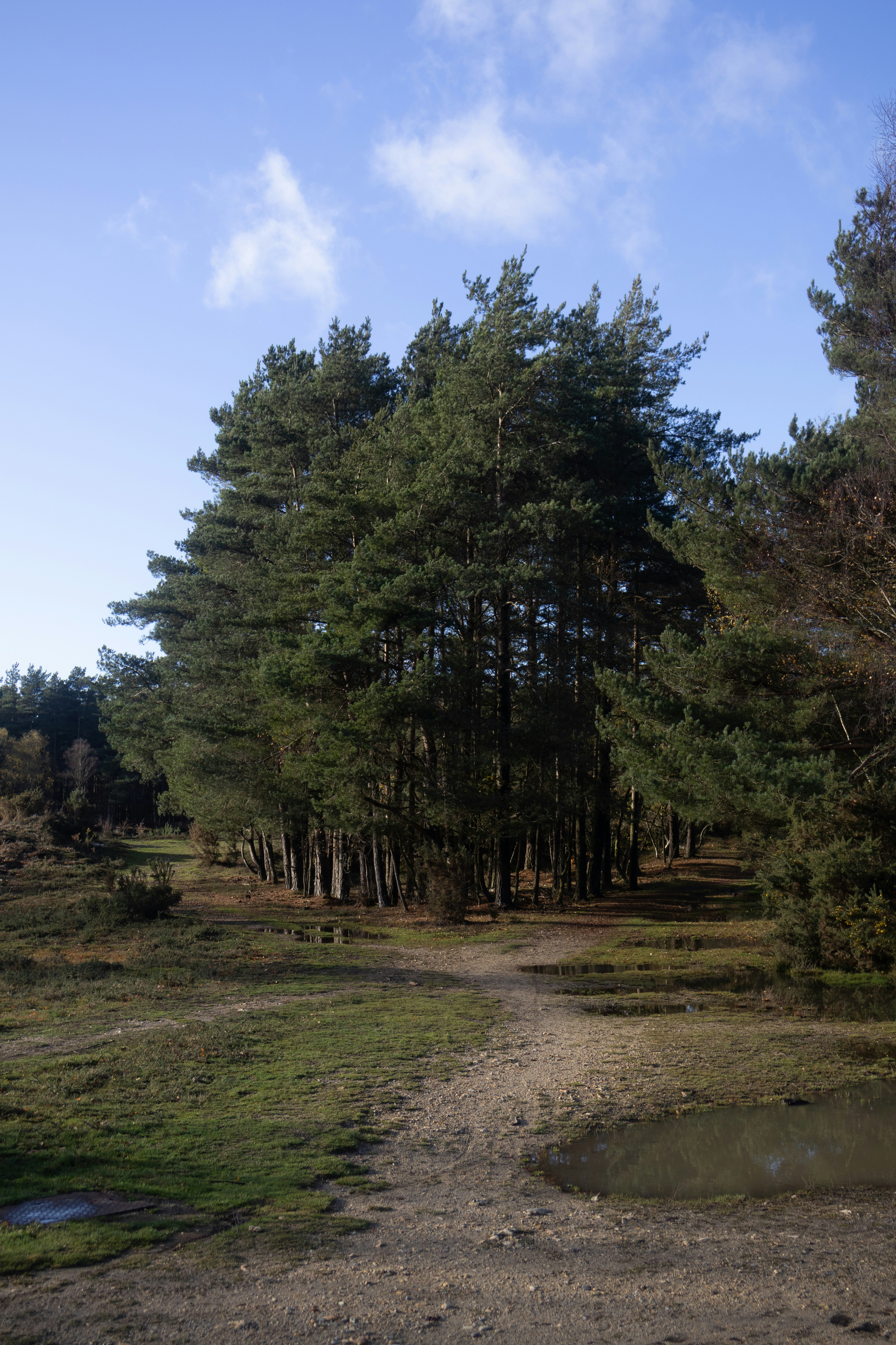 Photo by tanyabarrow