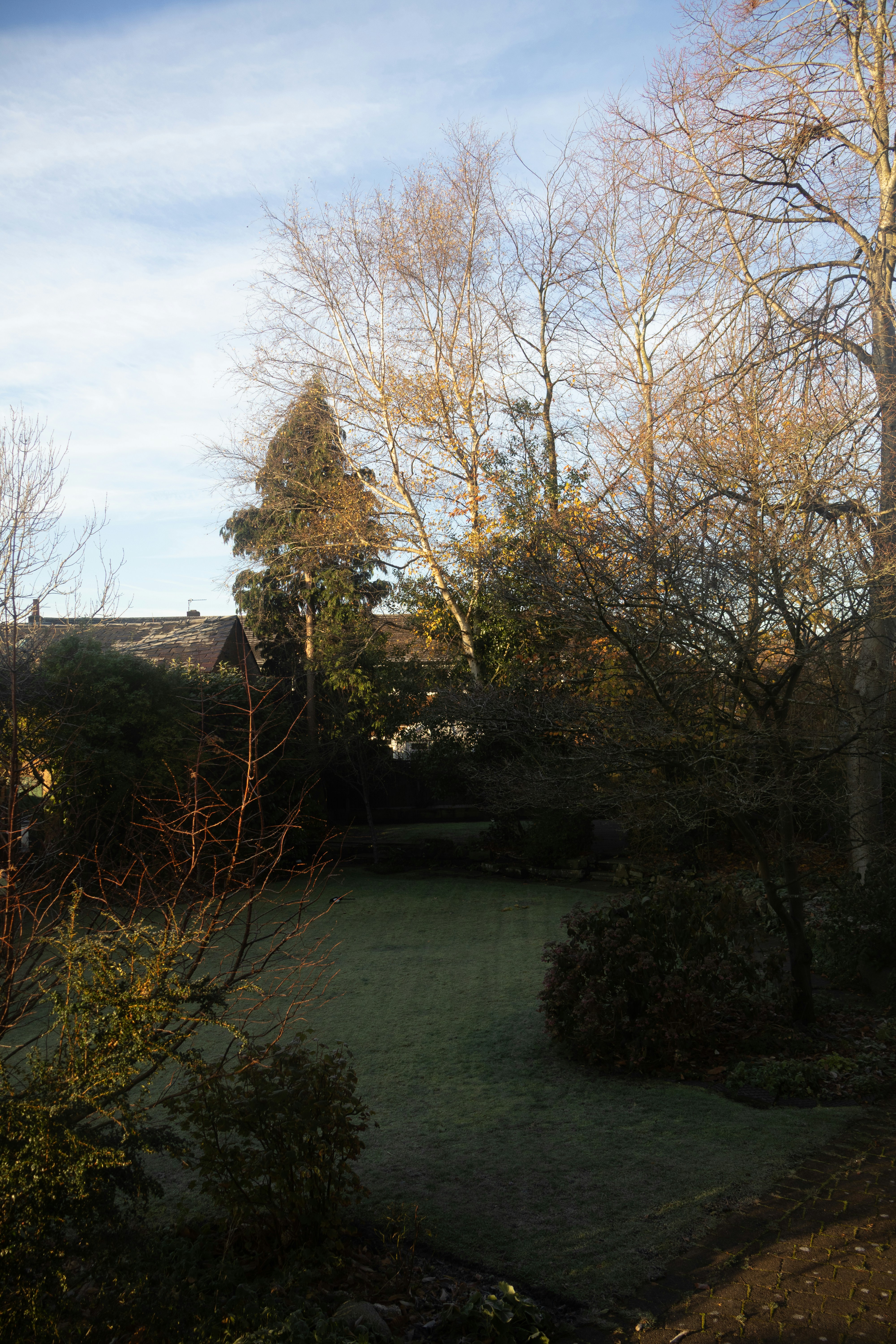 Photo by tanyabarrow