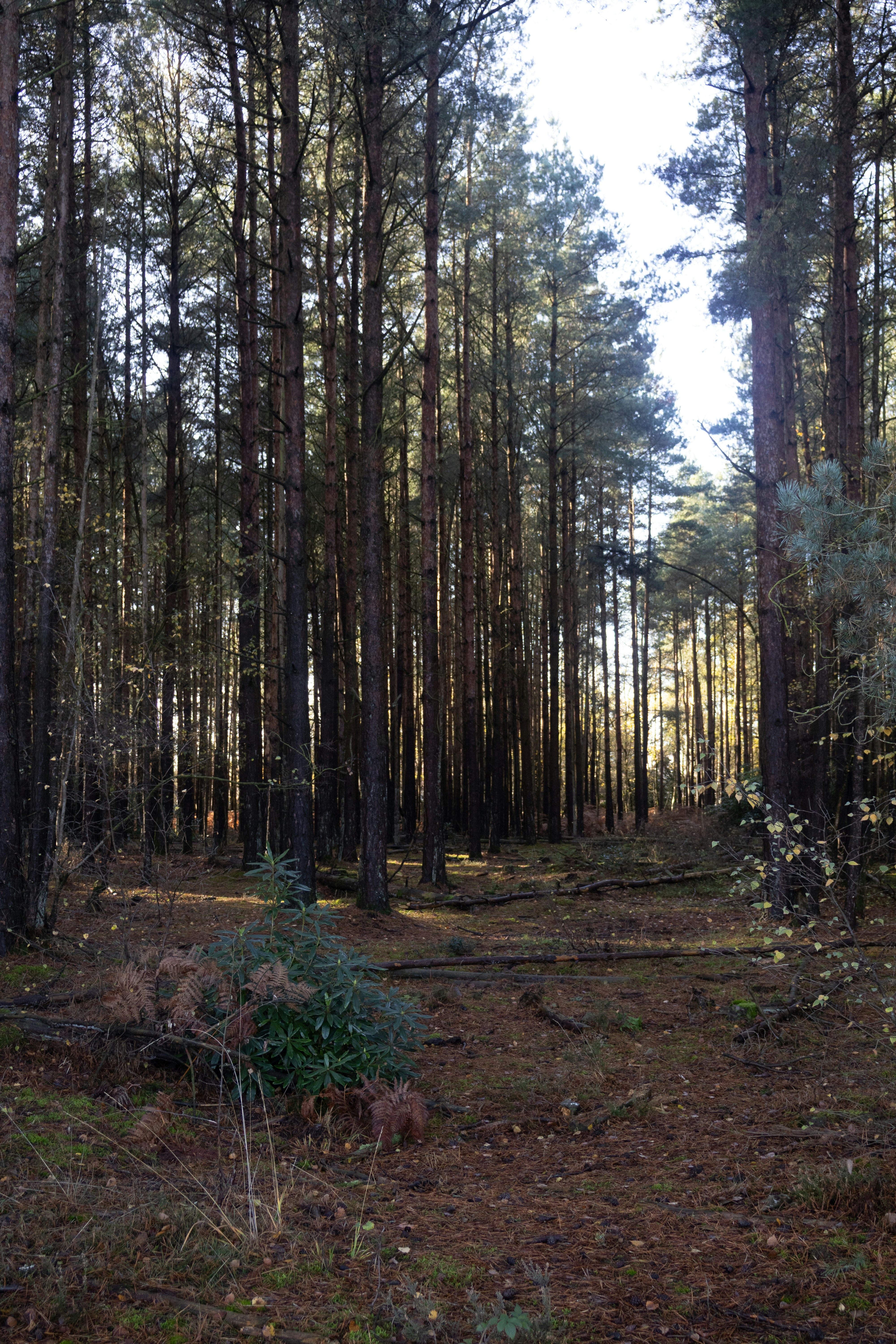 Photo by tanyabarrow