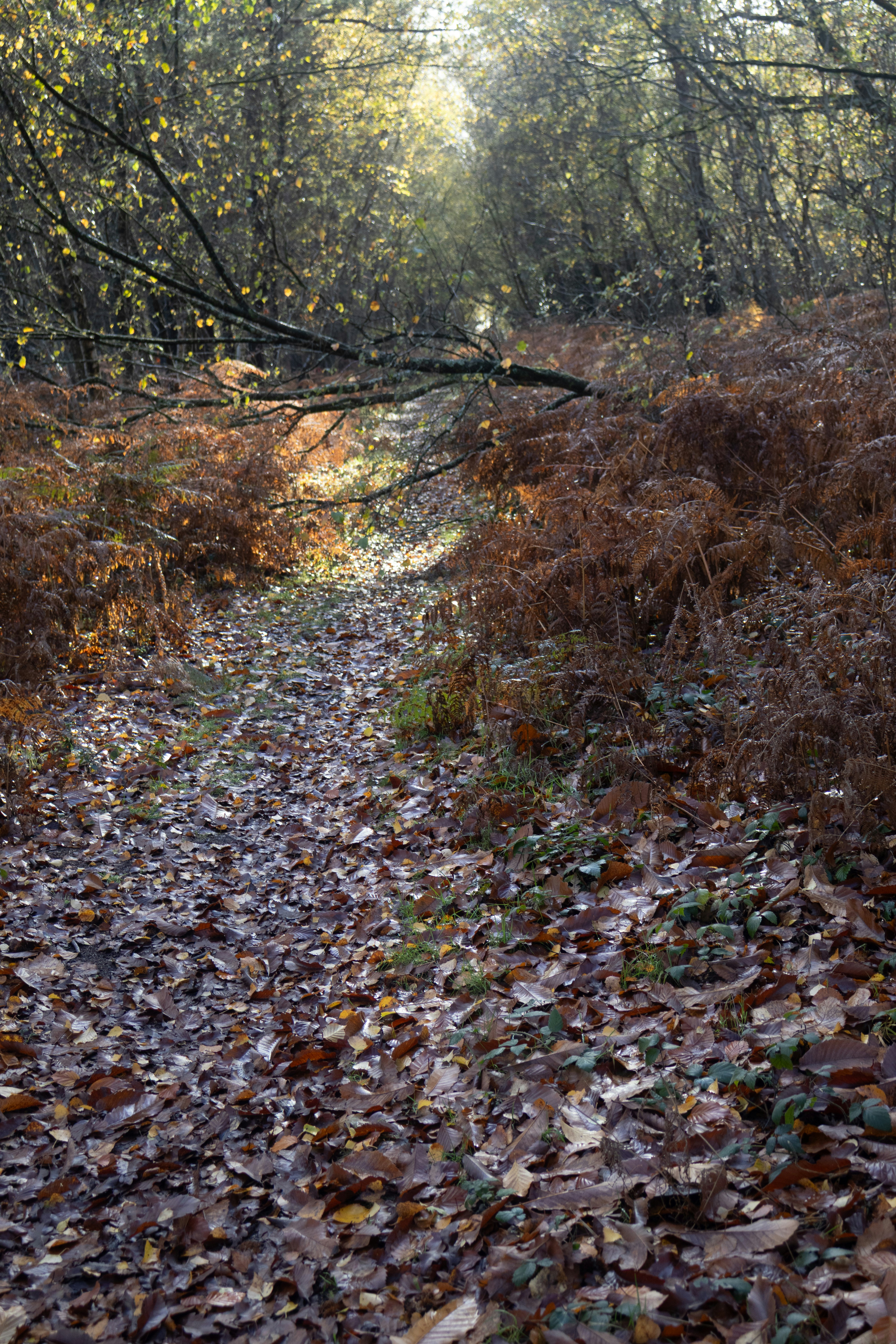 Photo by tanyabarrow