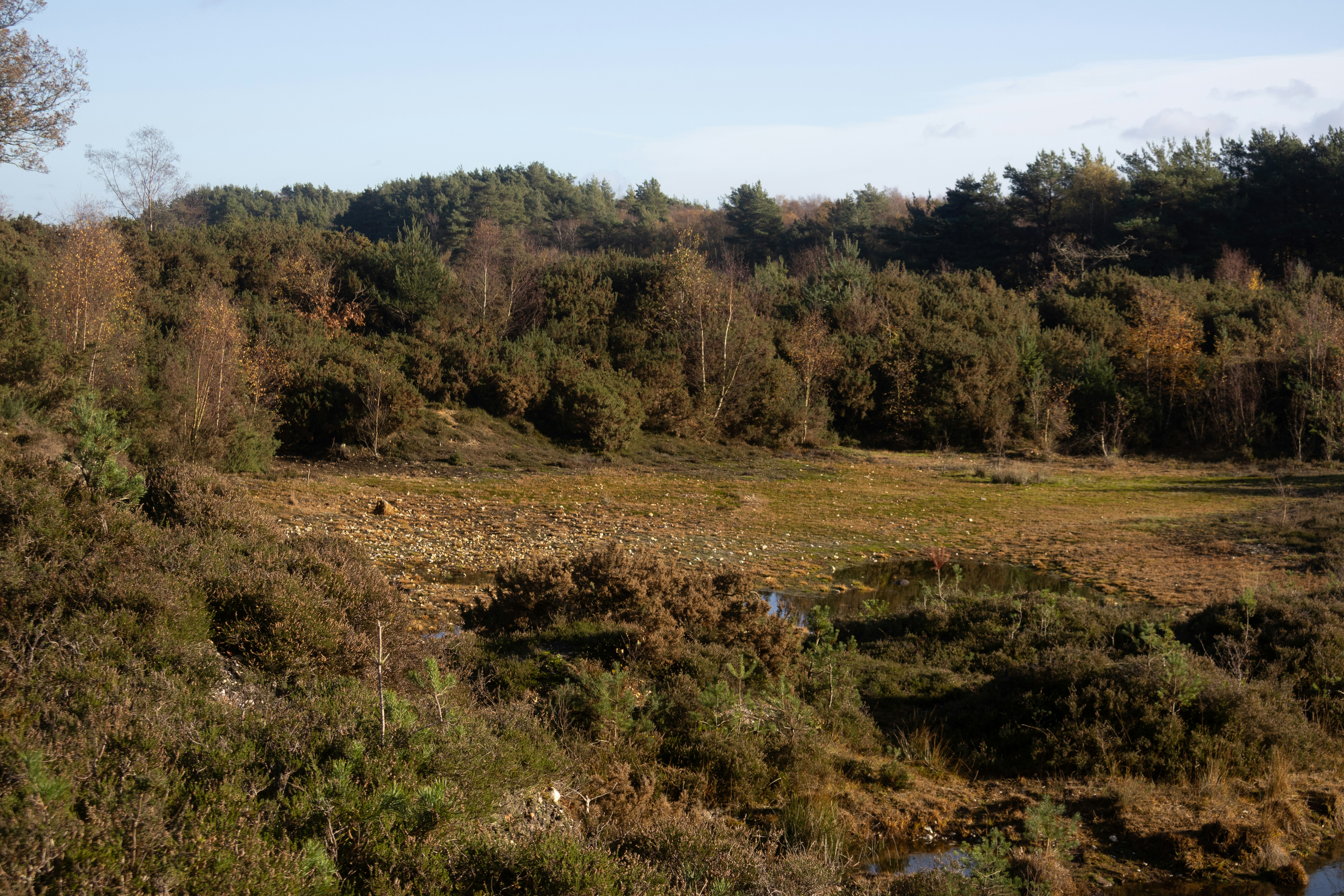 Photo by tanyabarrow