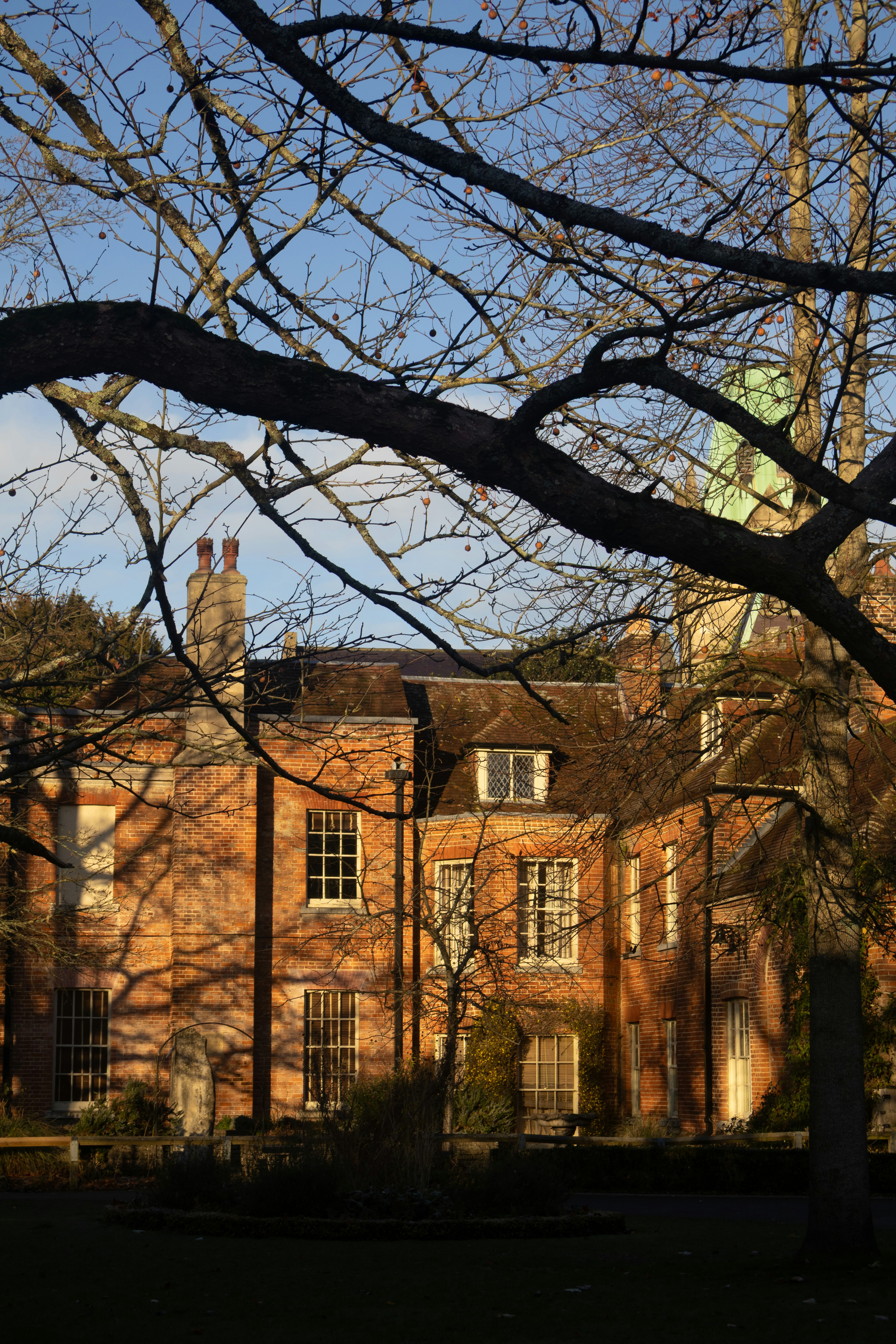 Photo by tanyabarrow