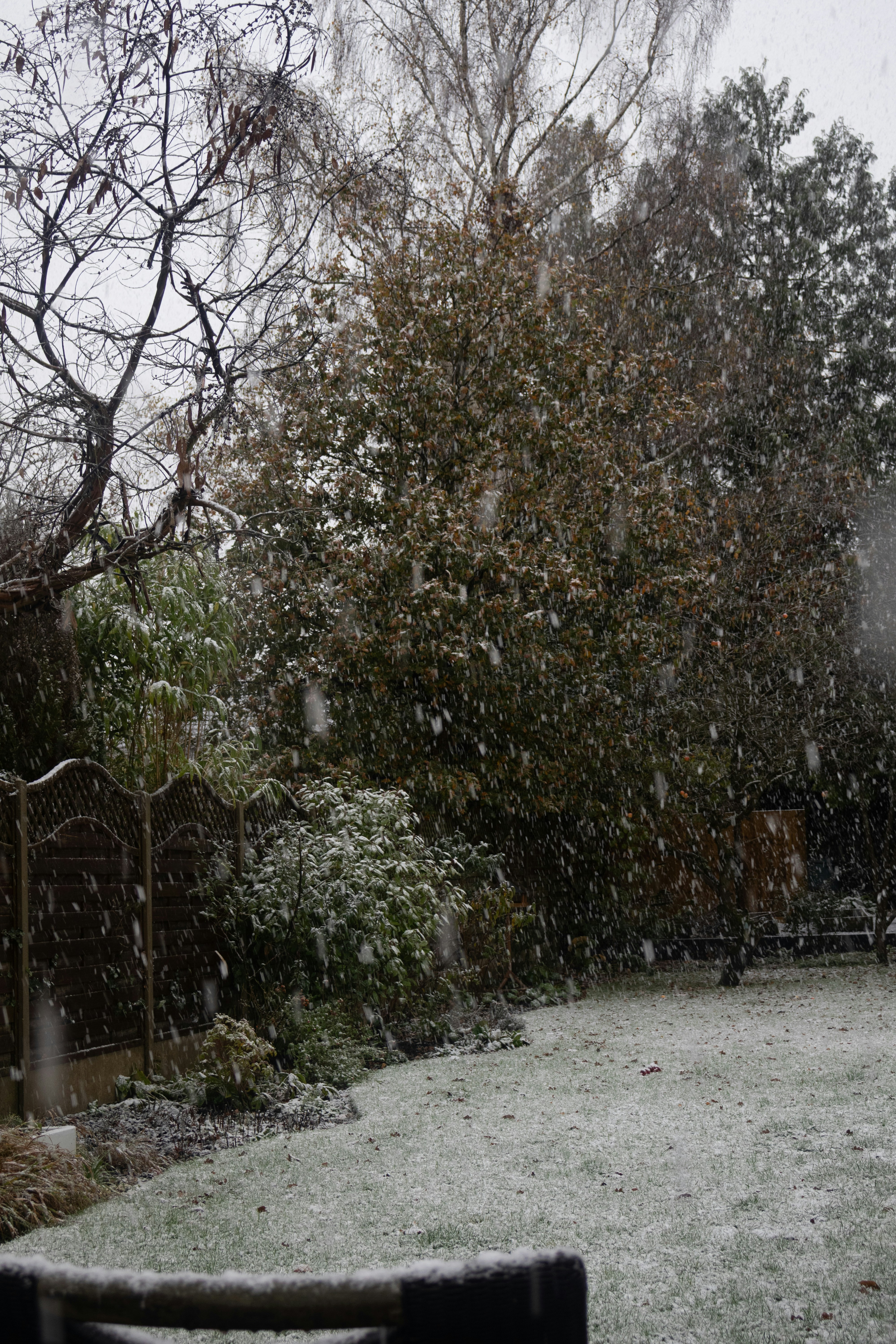 Photo by tanyabarrow