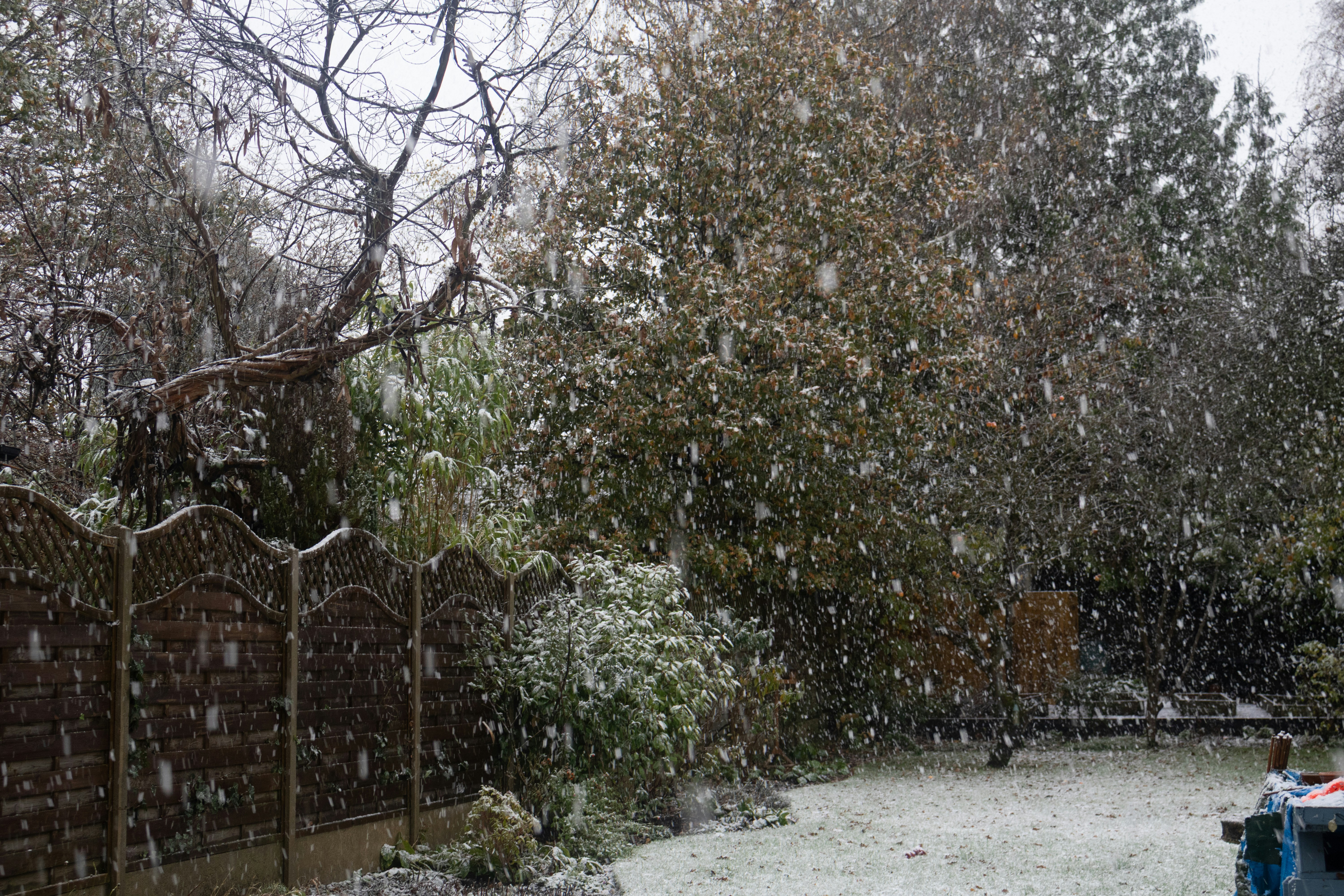 Photo by tanyabarrow