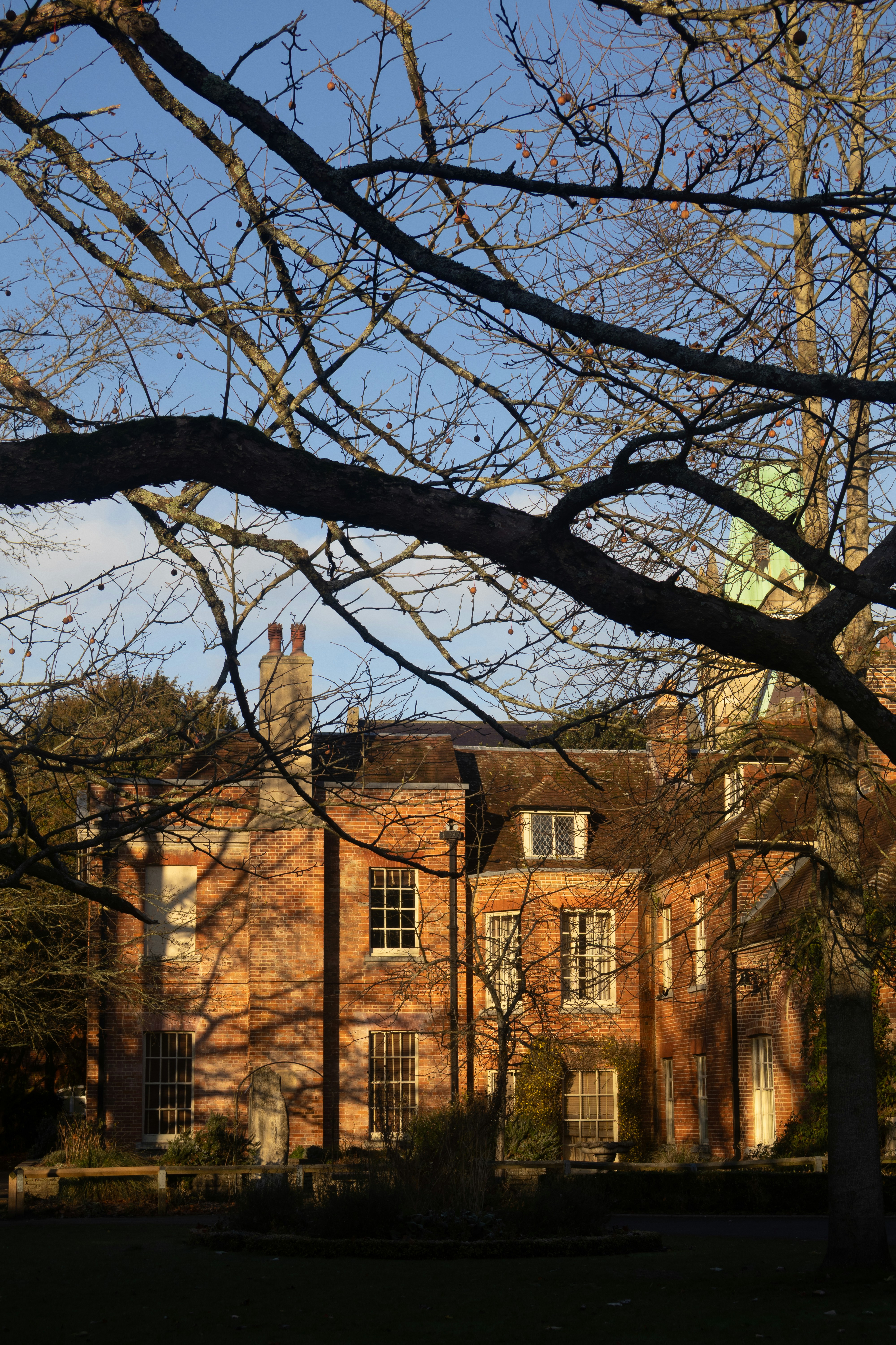 Photo by tanyabarrow