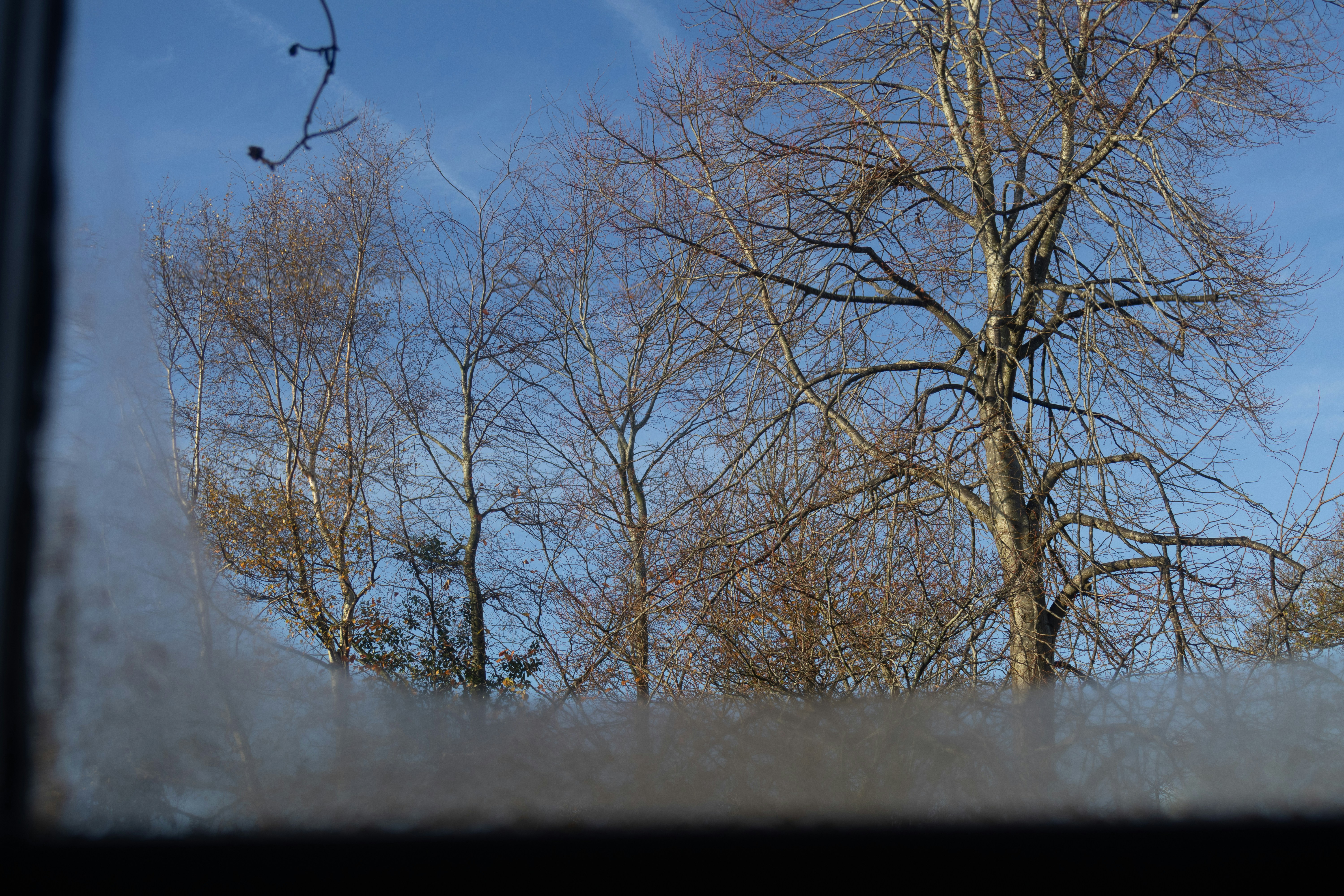 Photo by tanyabarrow