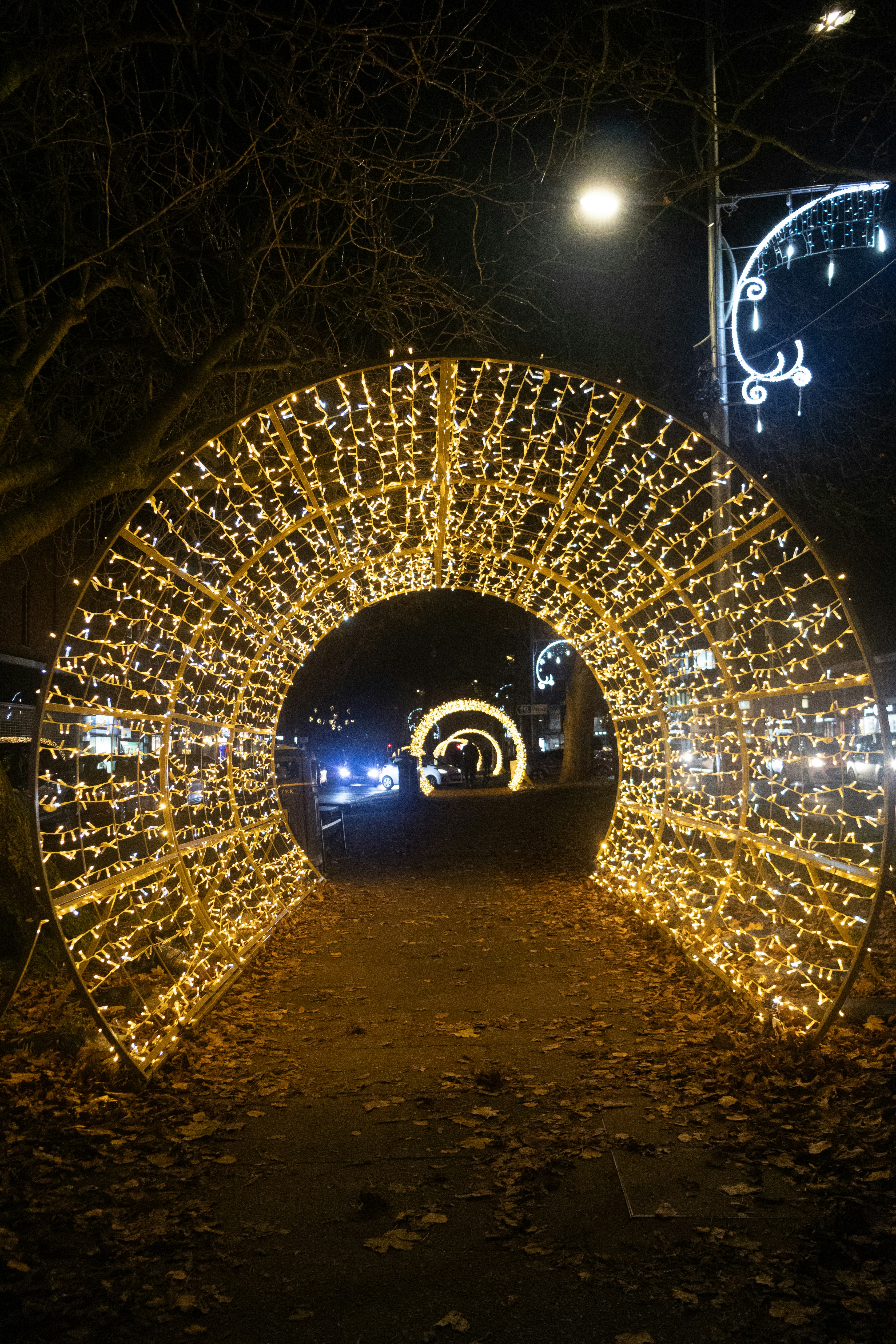 Photo by tanyabarrow