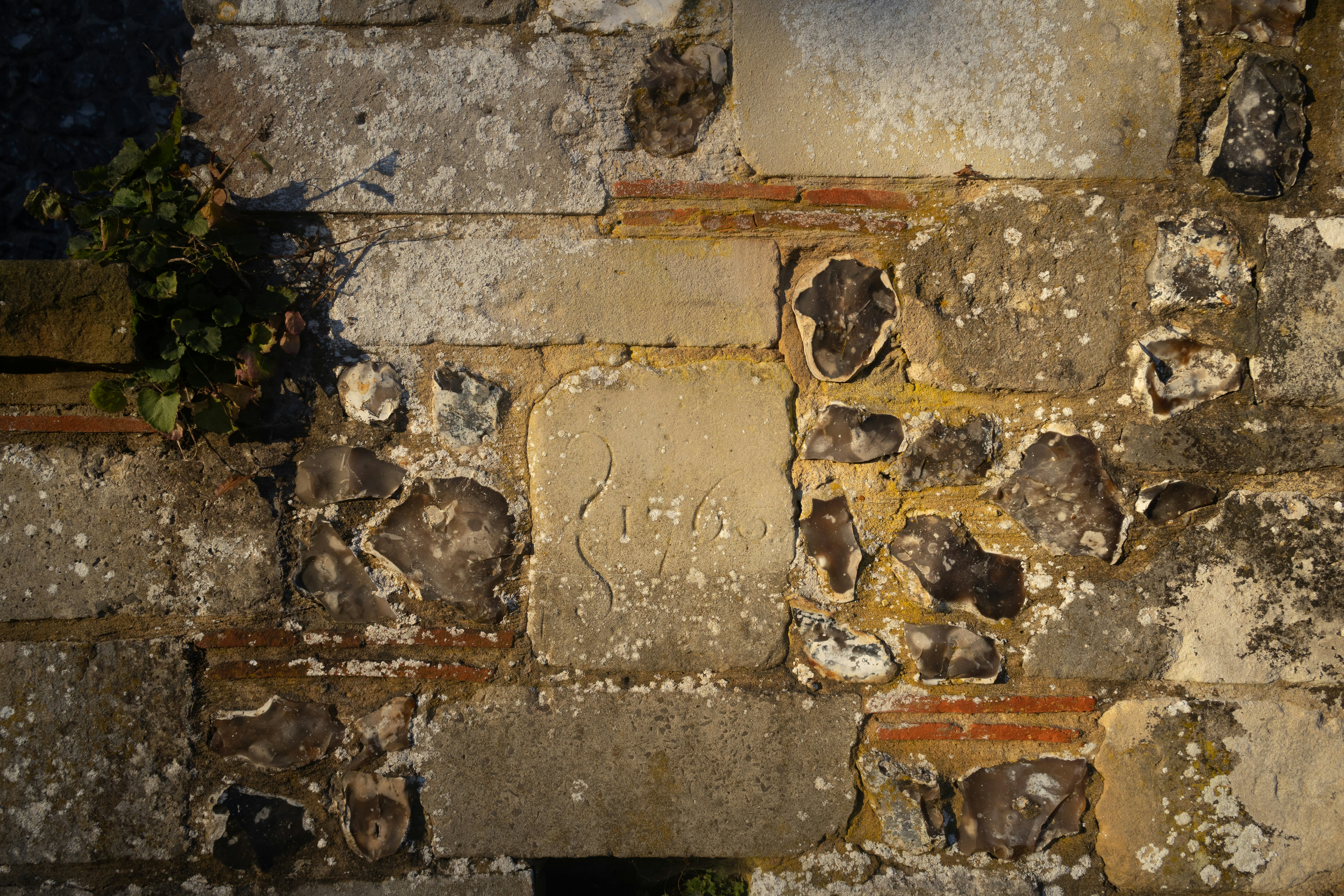 Photo by tanyabarrow