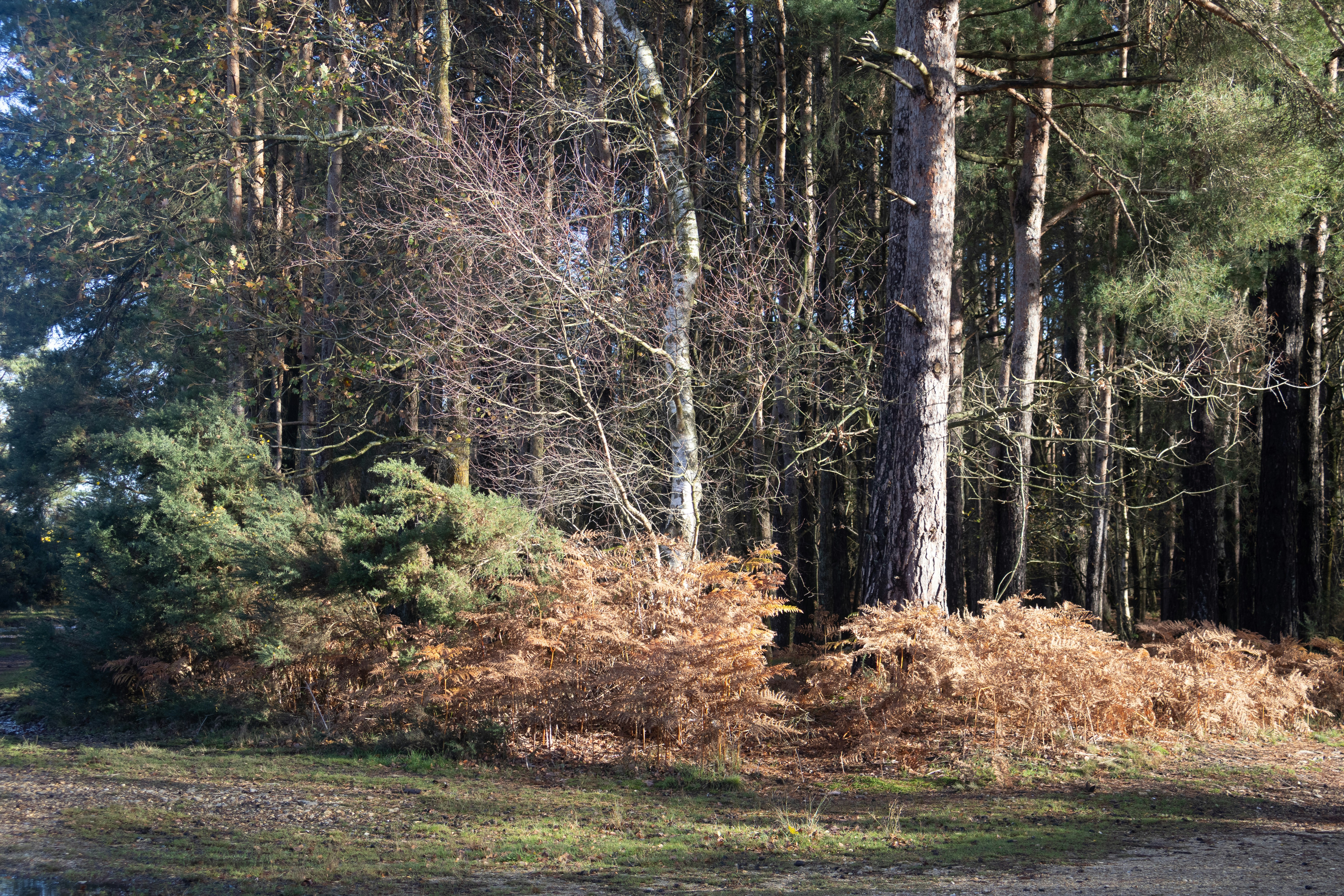 Photo by tanyabarrow