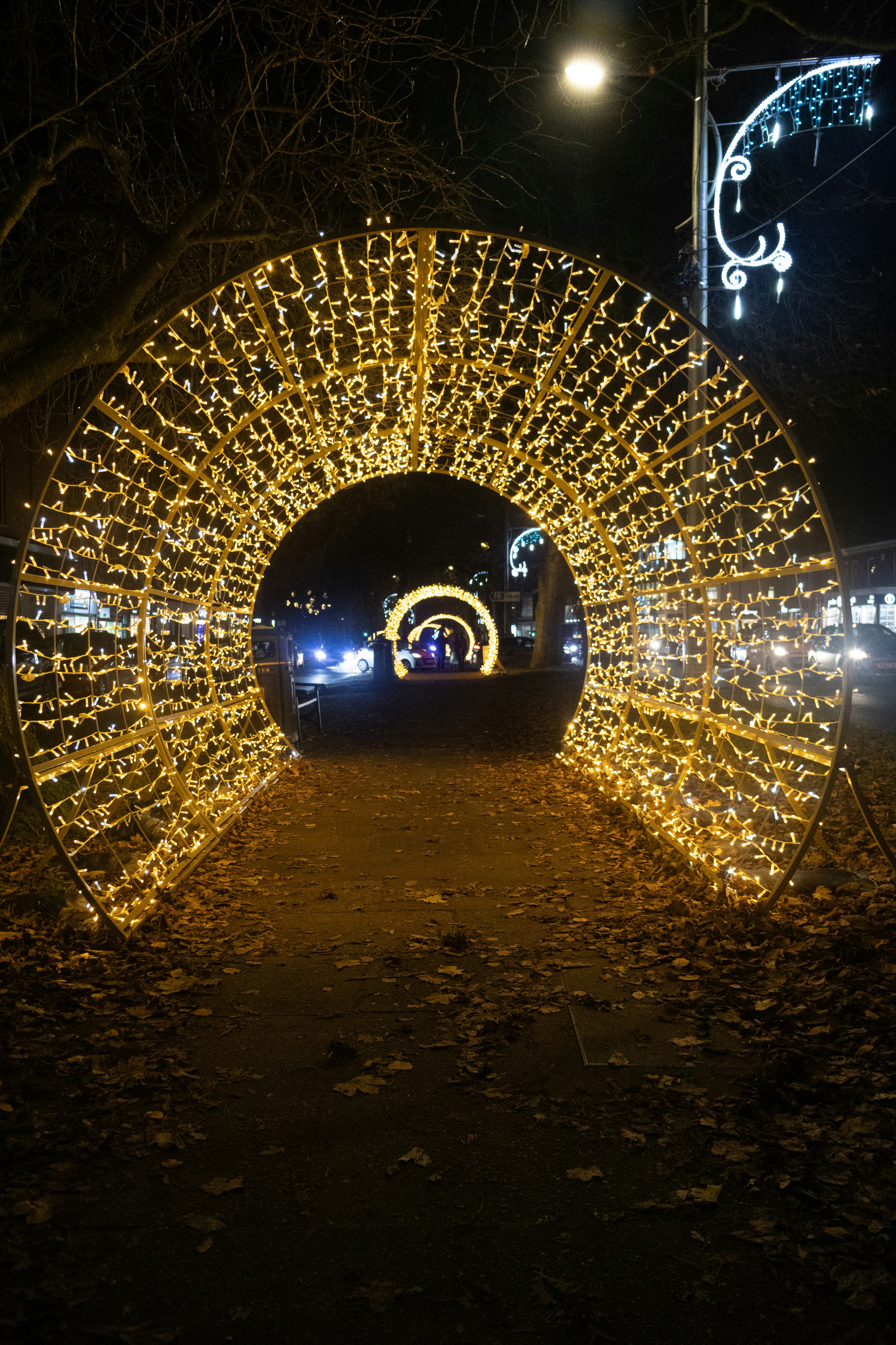 Photo by tanyabarrow