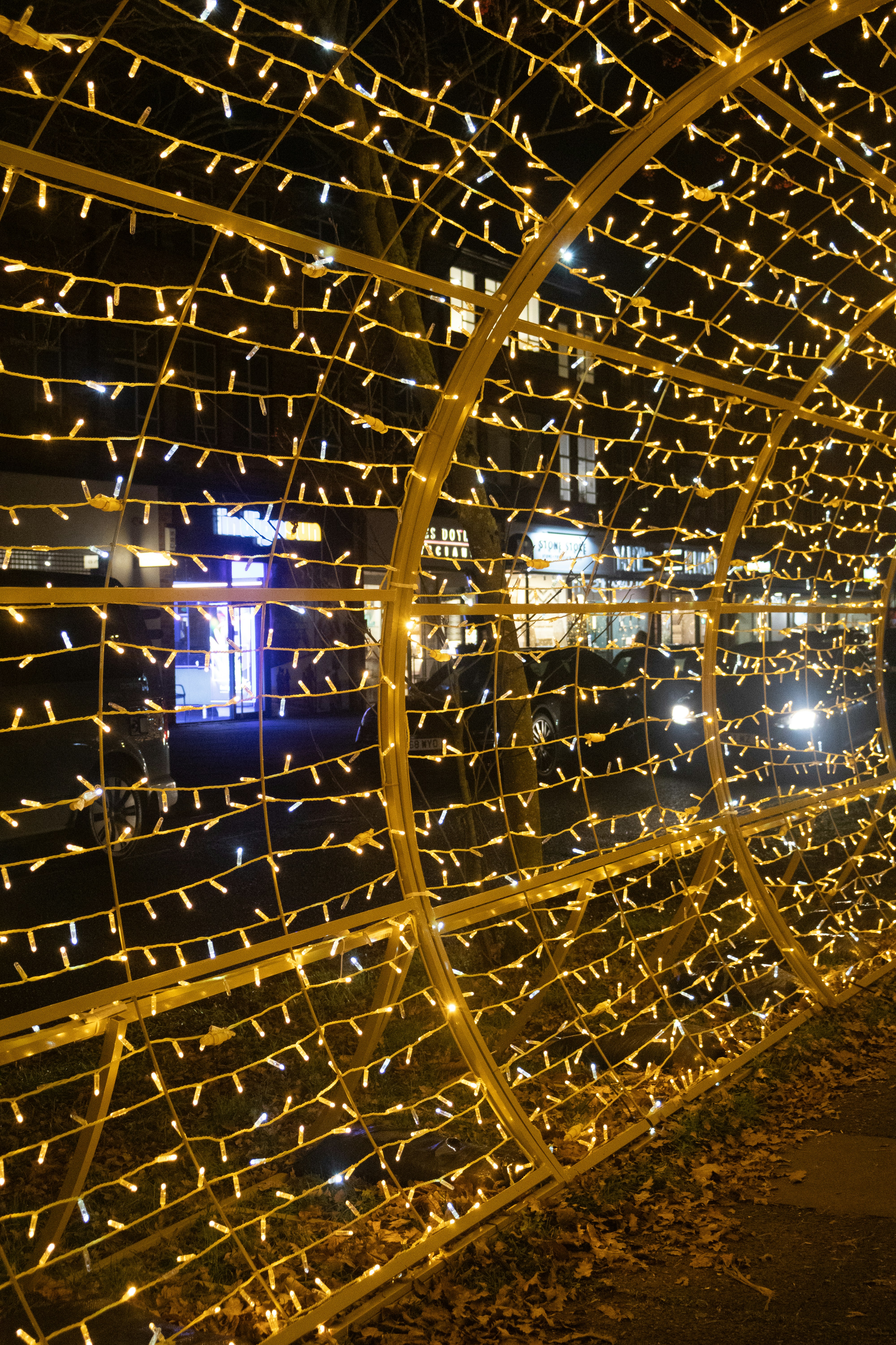 Photo by tanyabarrow