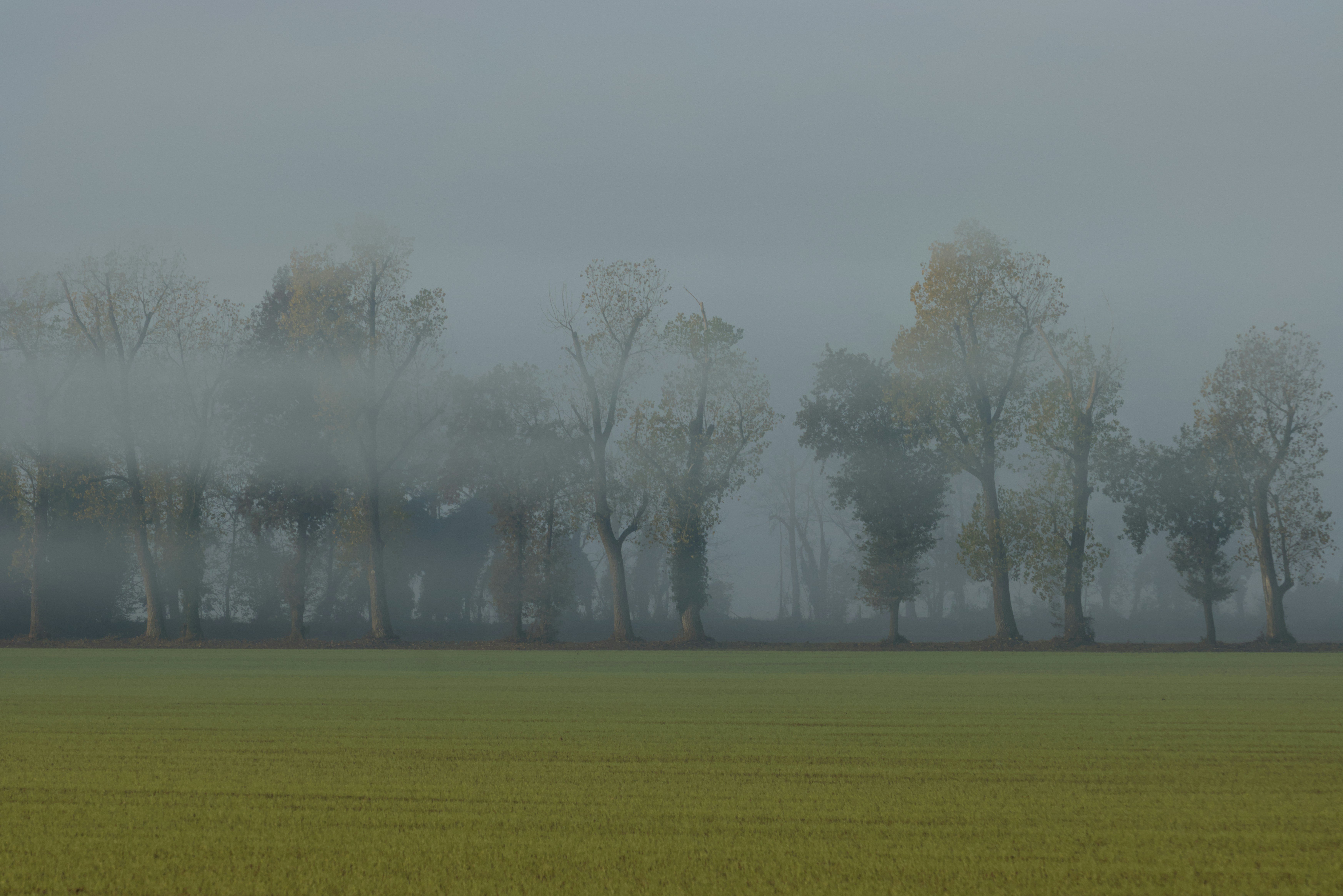 Photo by andreaskyrider