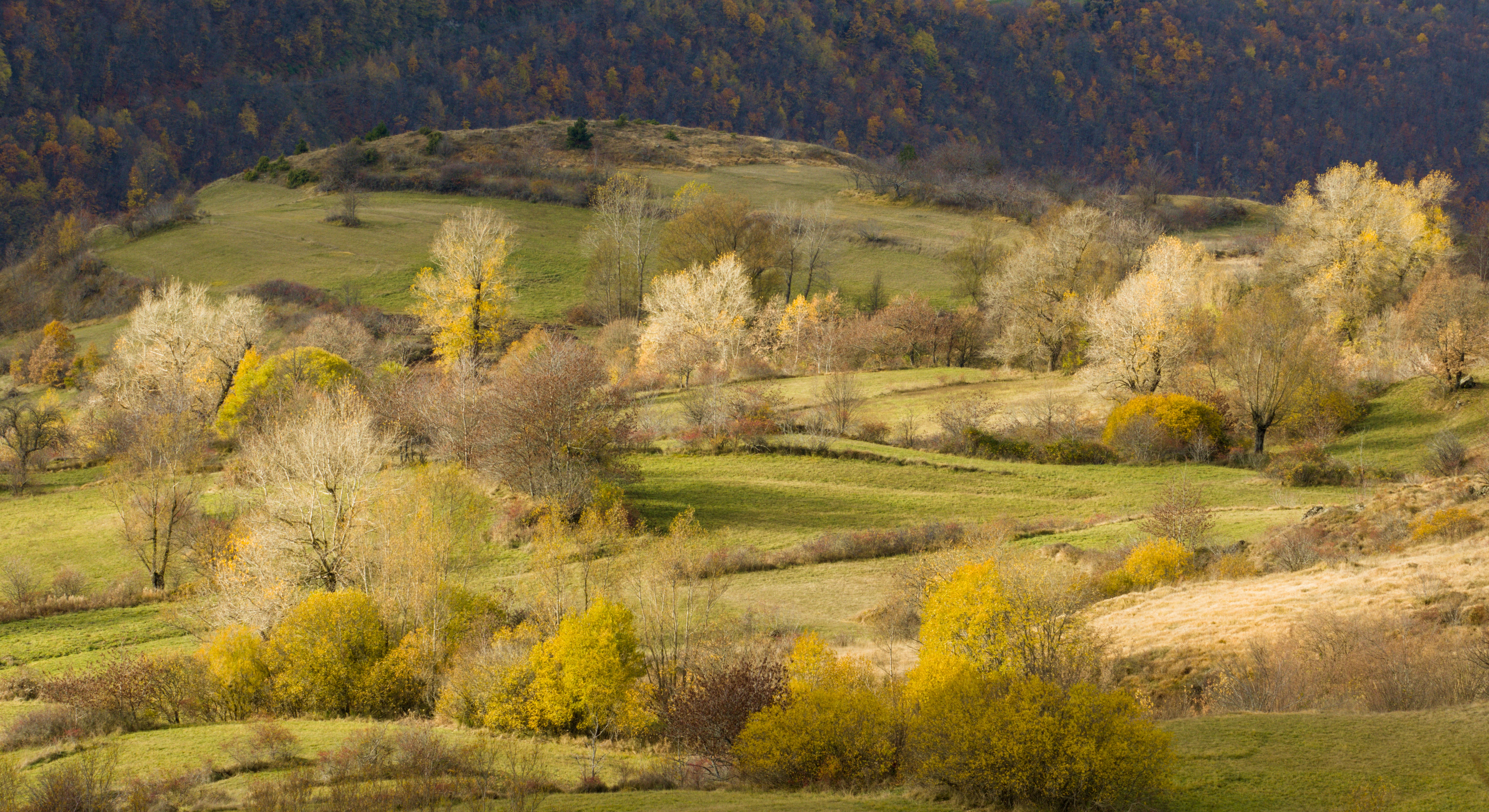 Photo by andreaskyrider