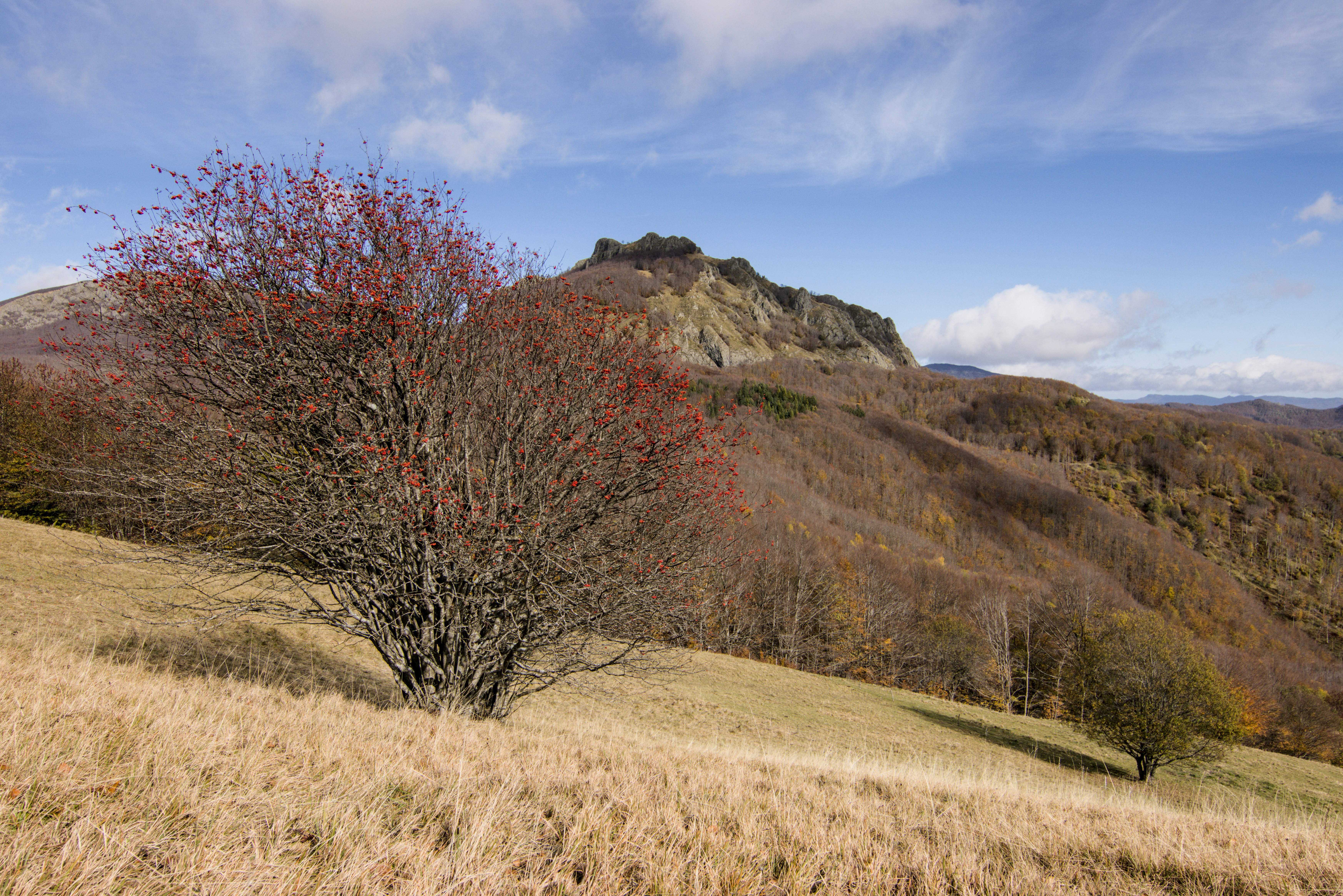 Photo by andreaskyrider