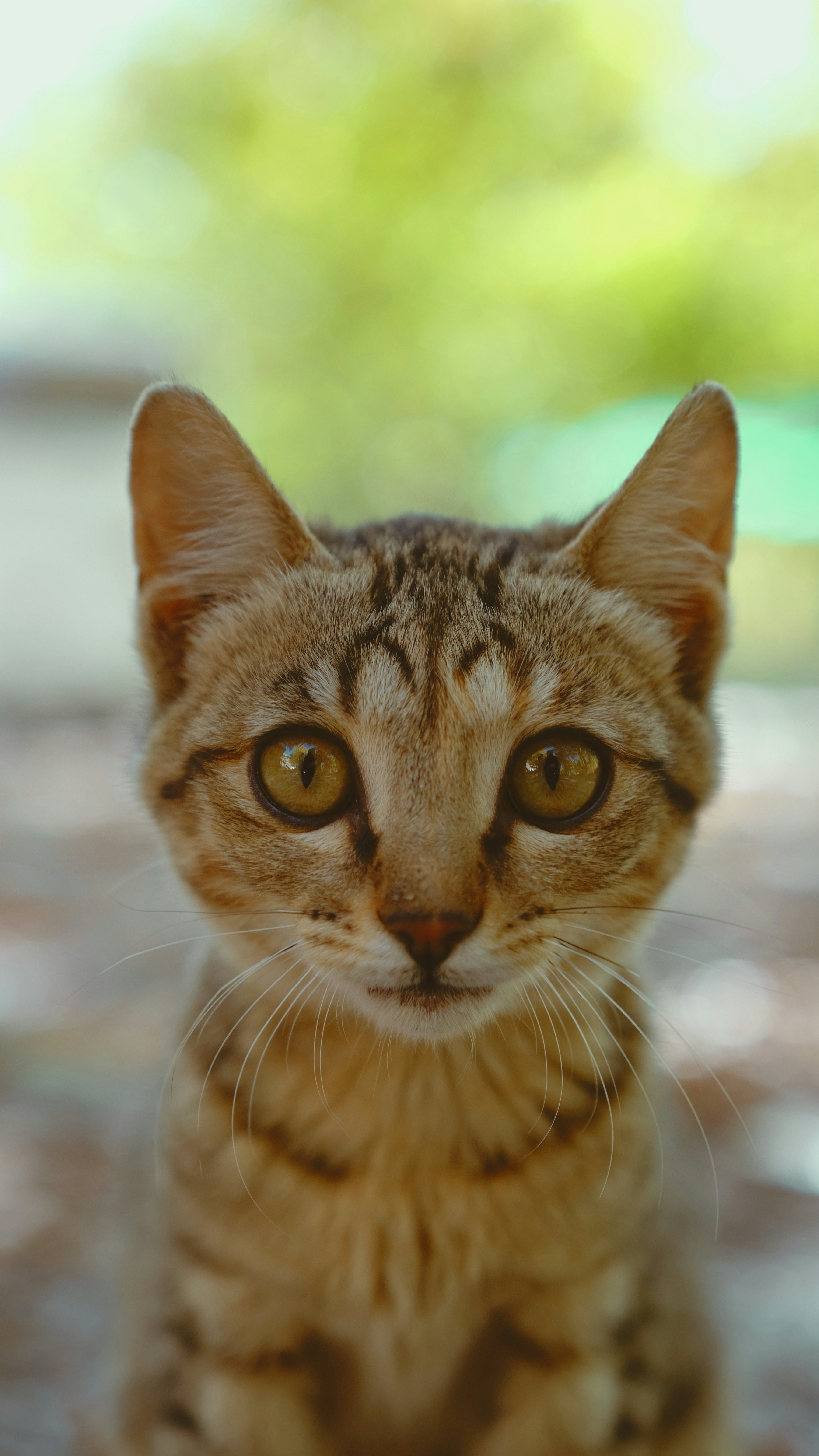 Photo by dastan_khdir