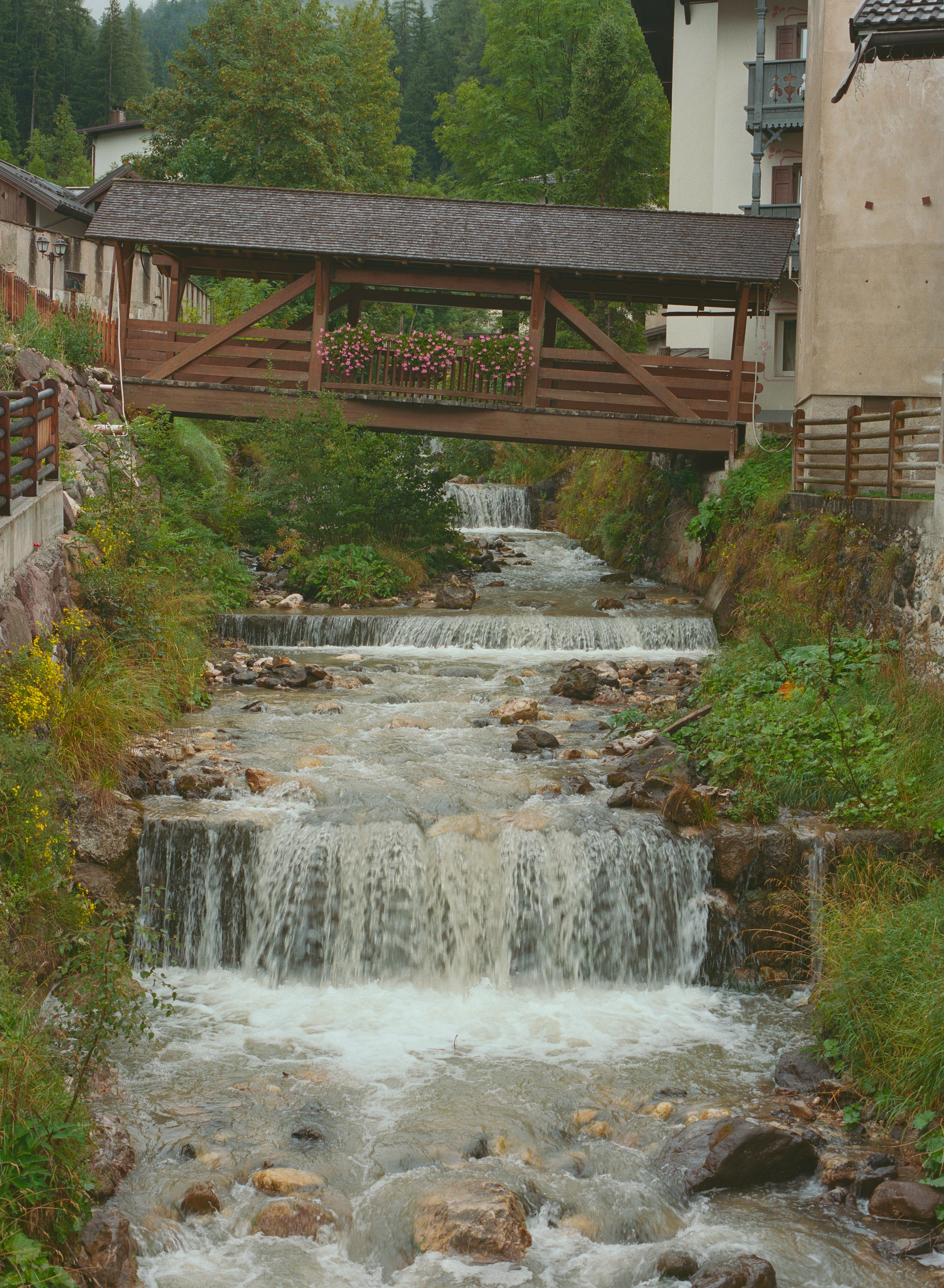 Wooden bridge over a cascading mountain stream