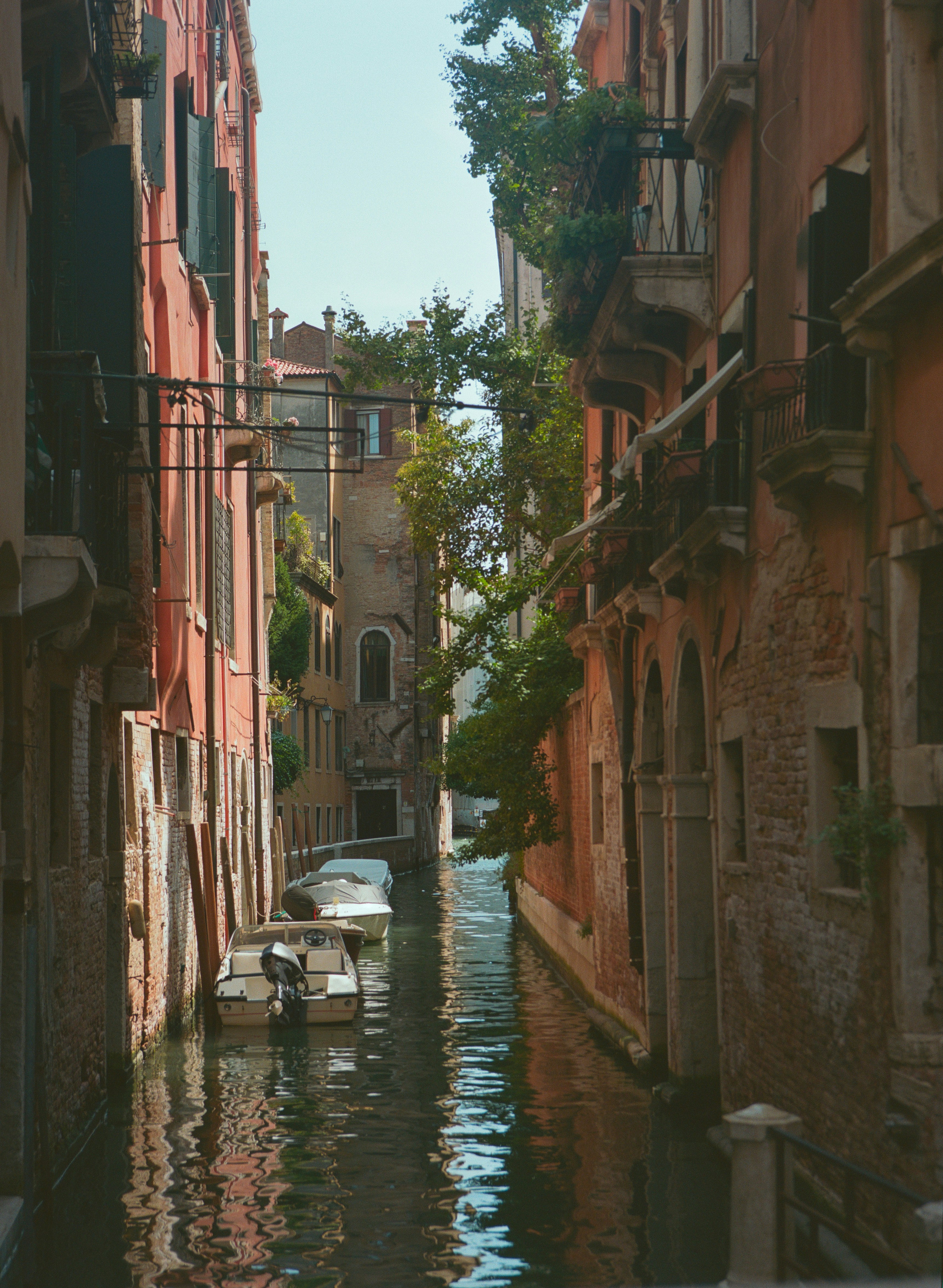 Photo by intrepidfilm