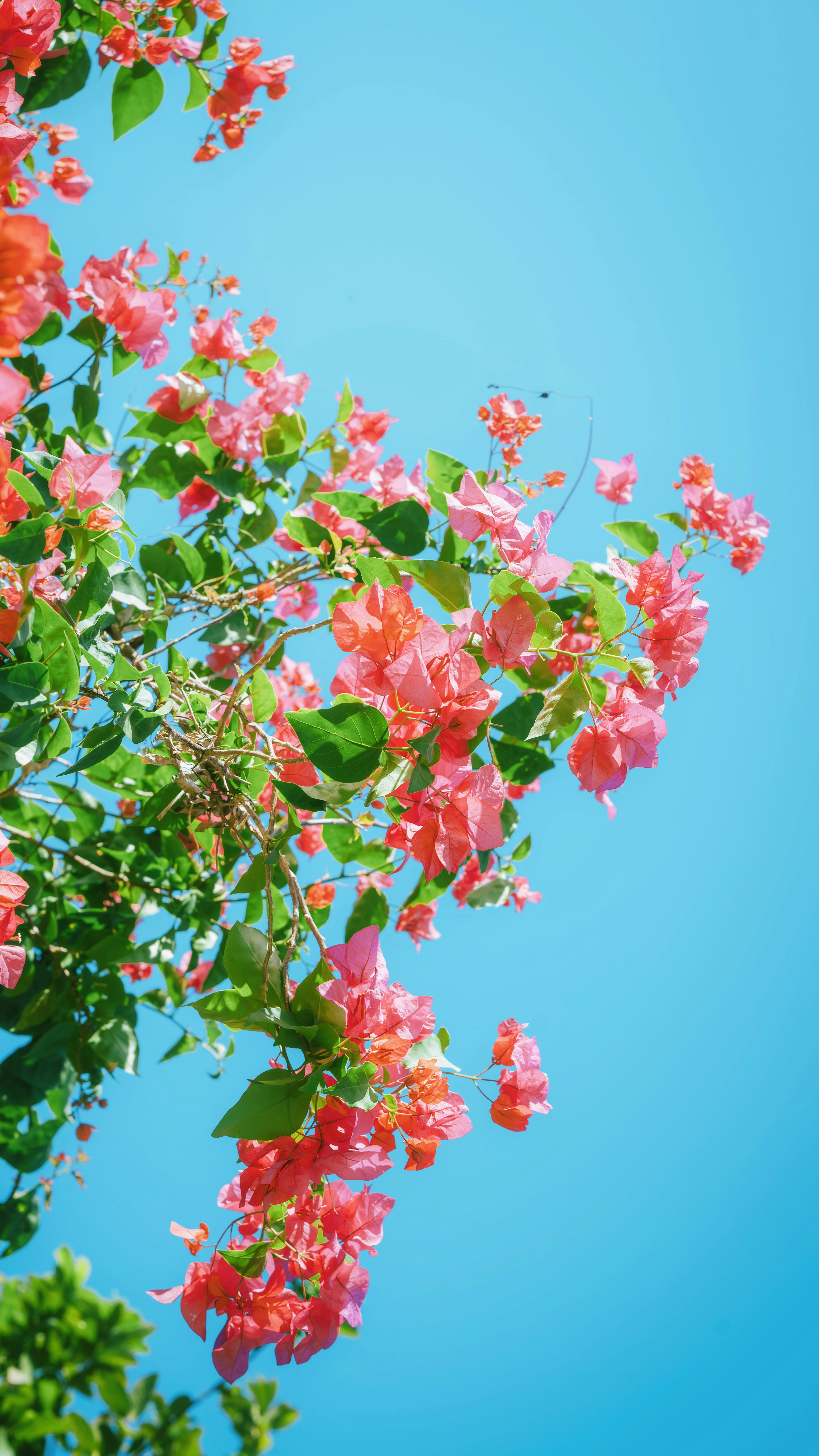 Photo by wangbinghua