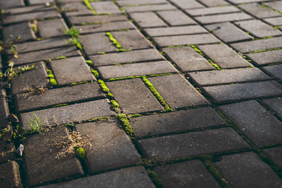 Before: mossy, weed-covered block paving