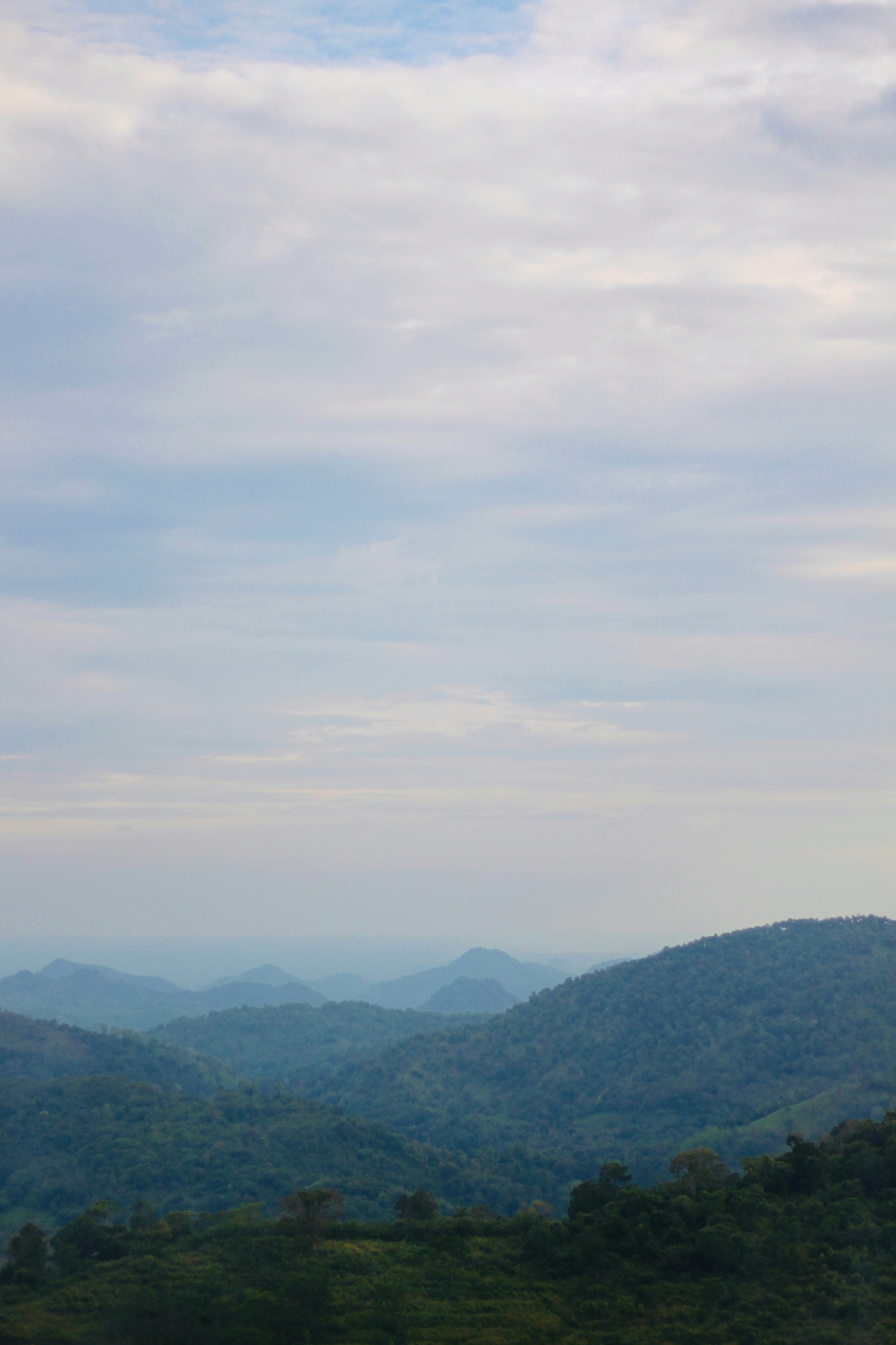 Photo by nilshan_sandaruwan