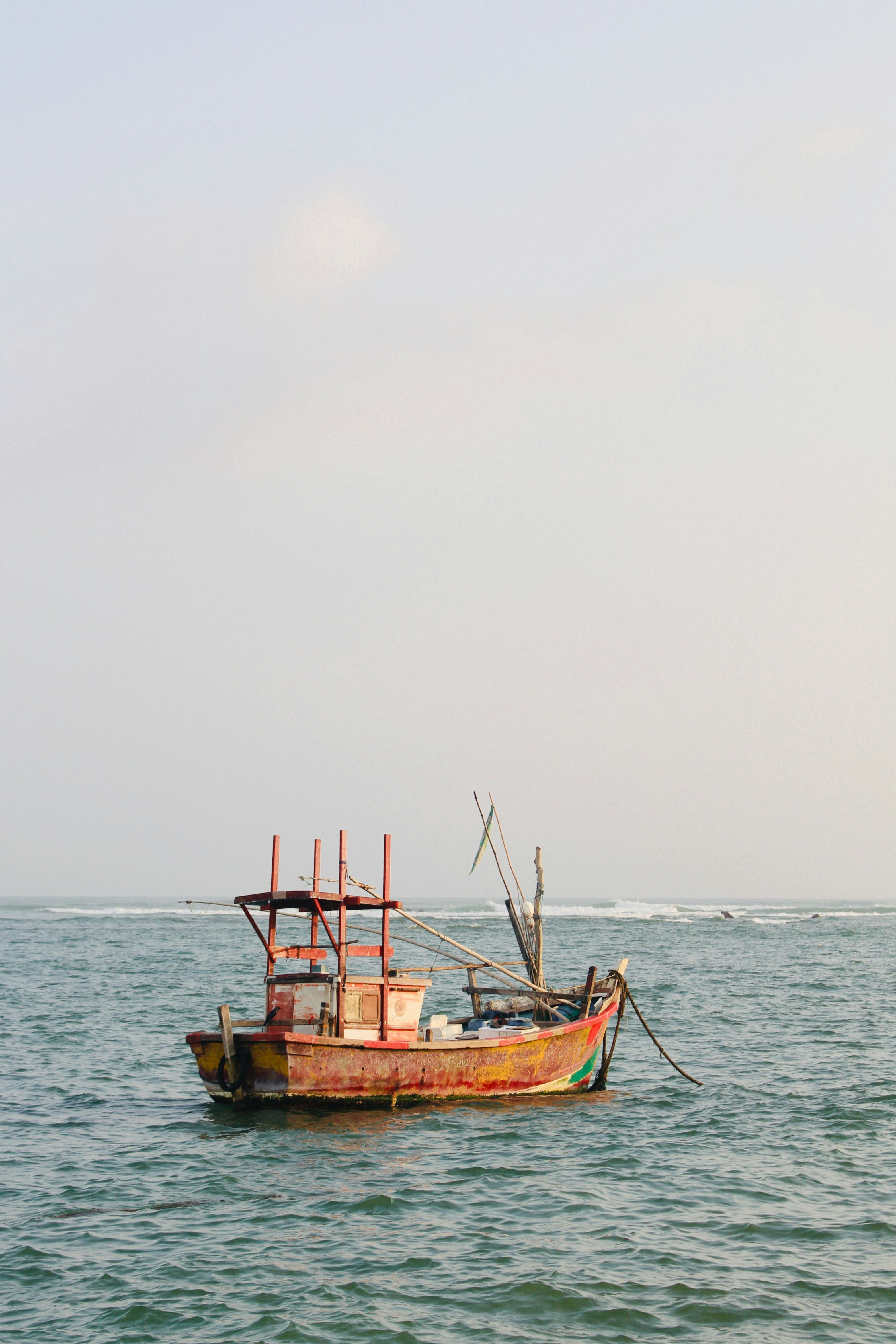 Photo by nilshan_sandaruwan