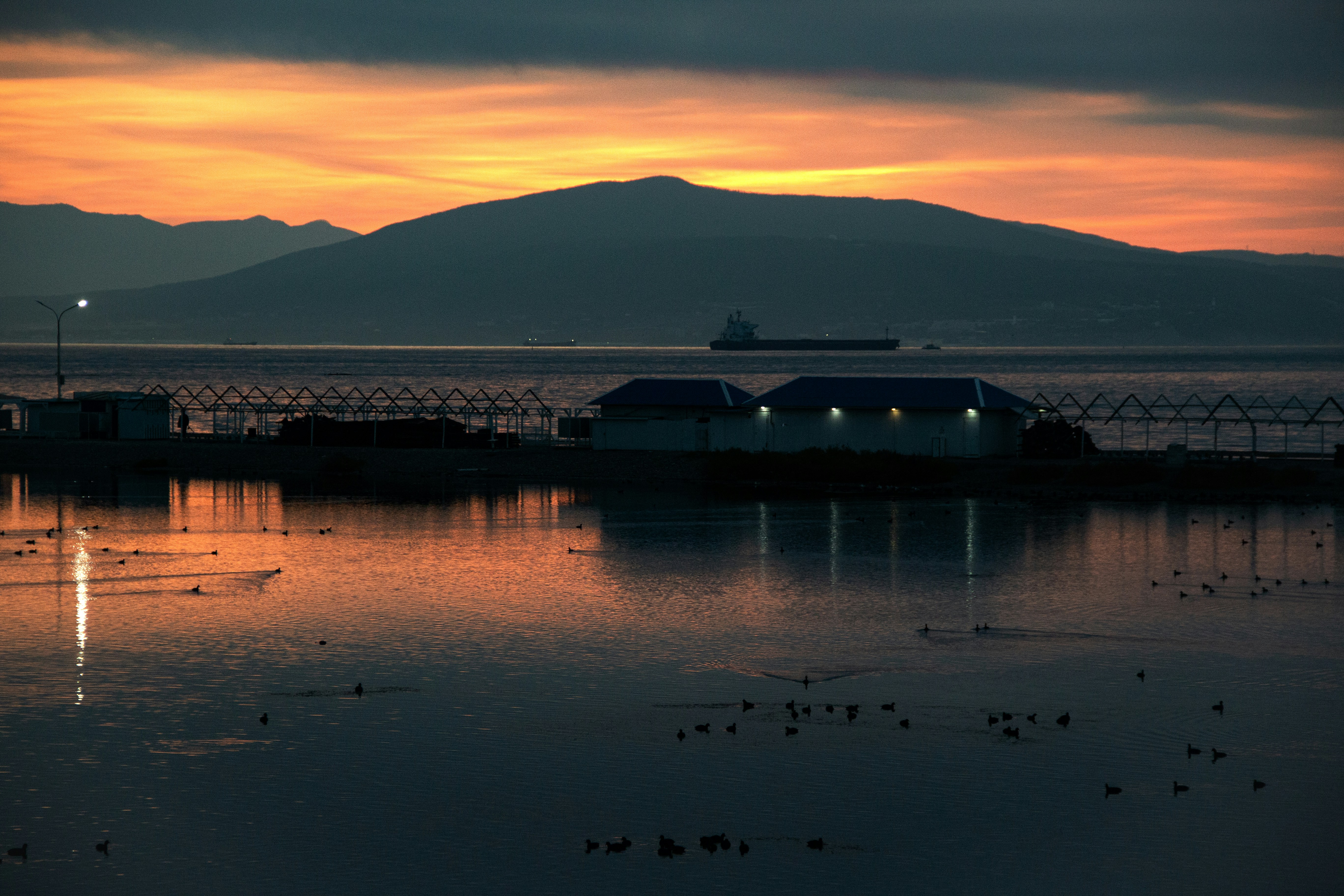 Photo by stepan_konev