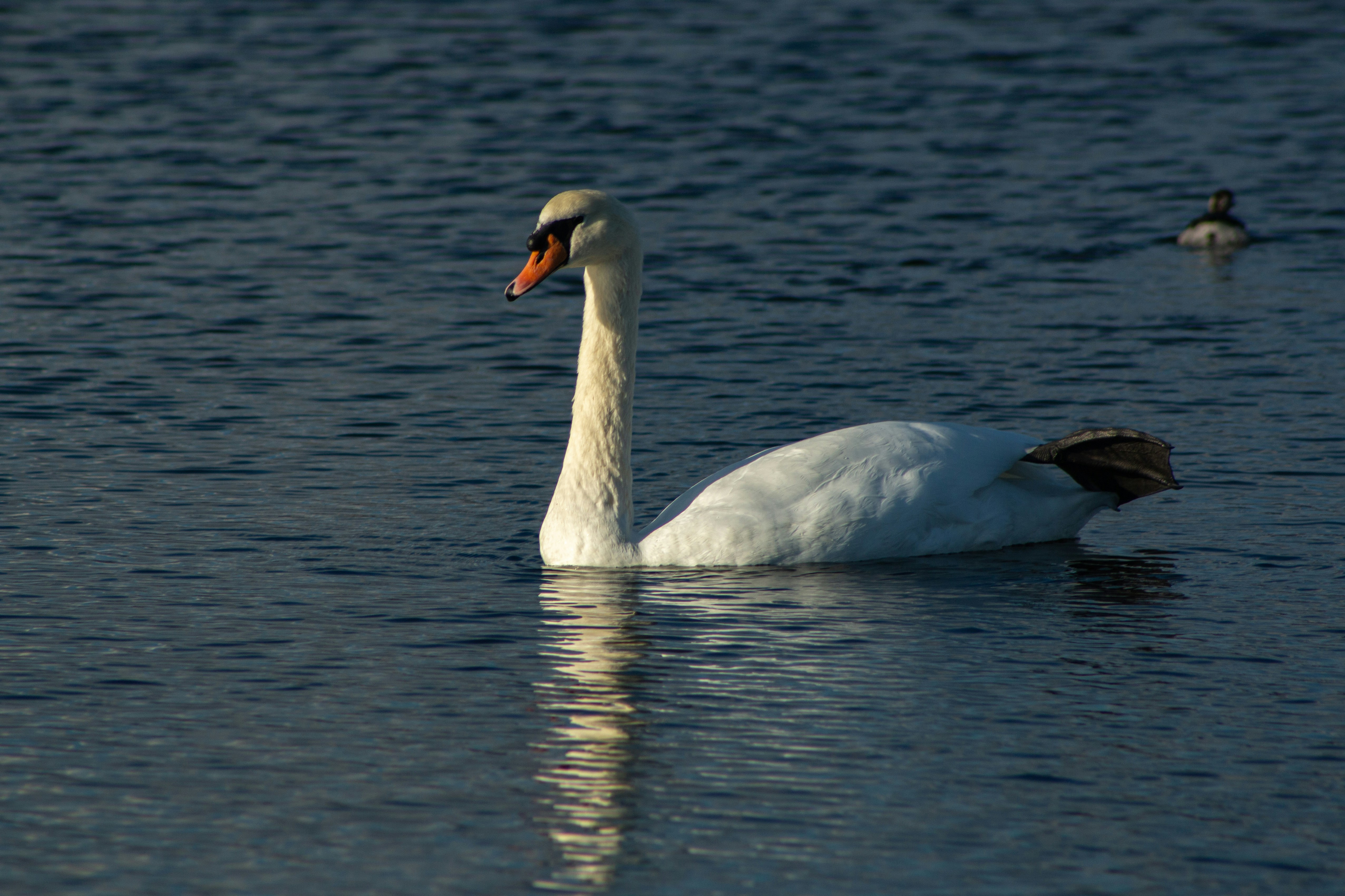 Photo by stepan_konev