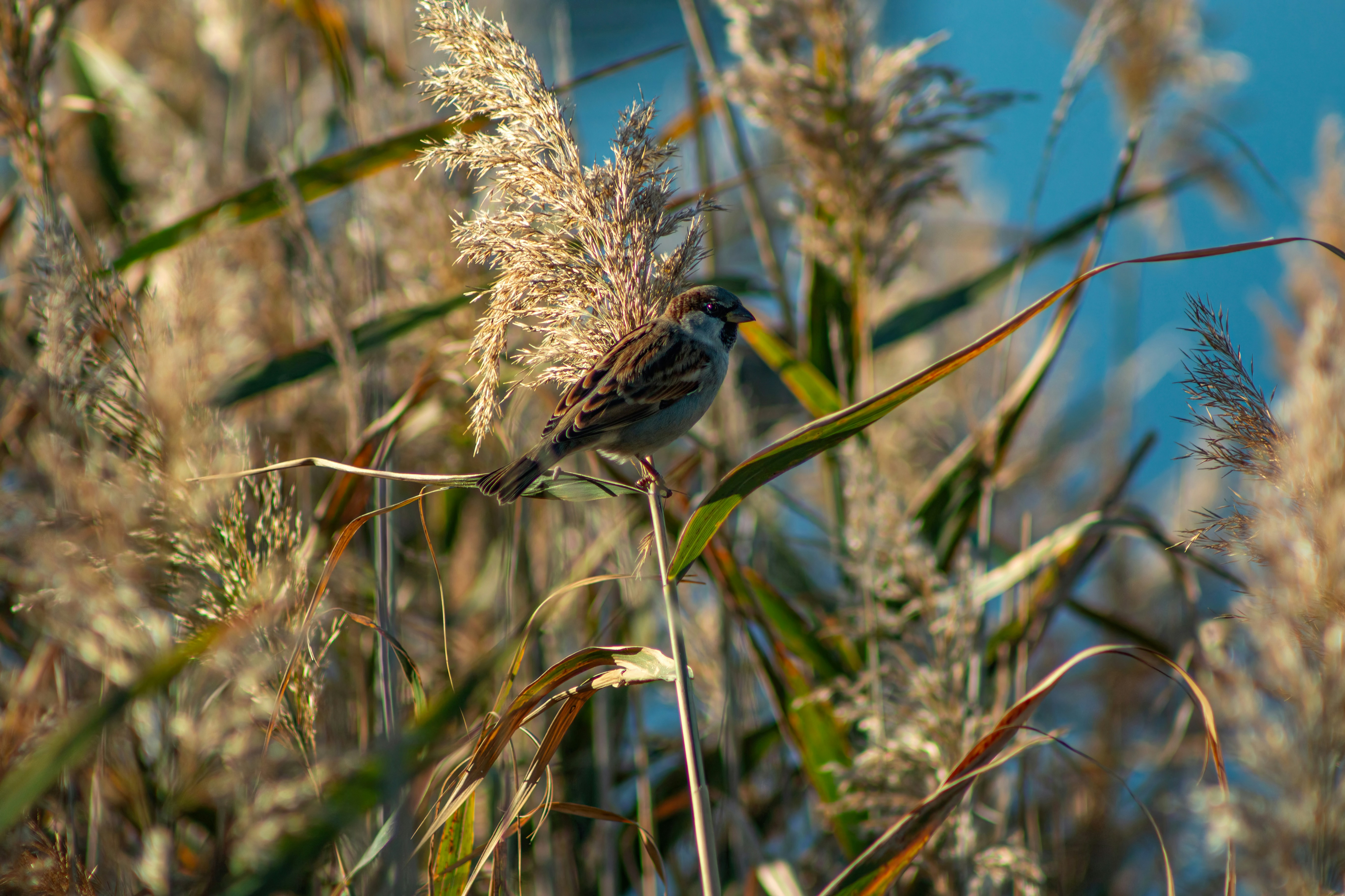 Photo by stepan_konev