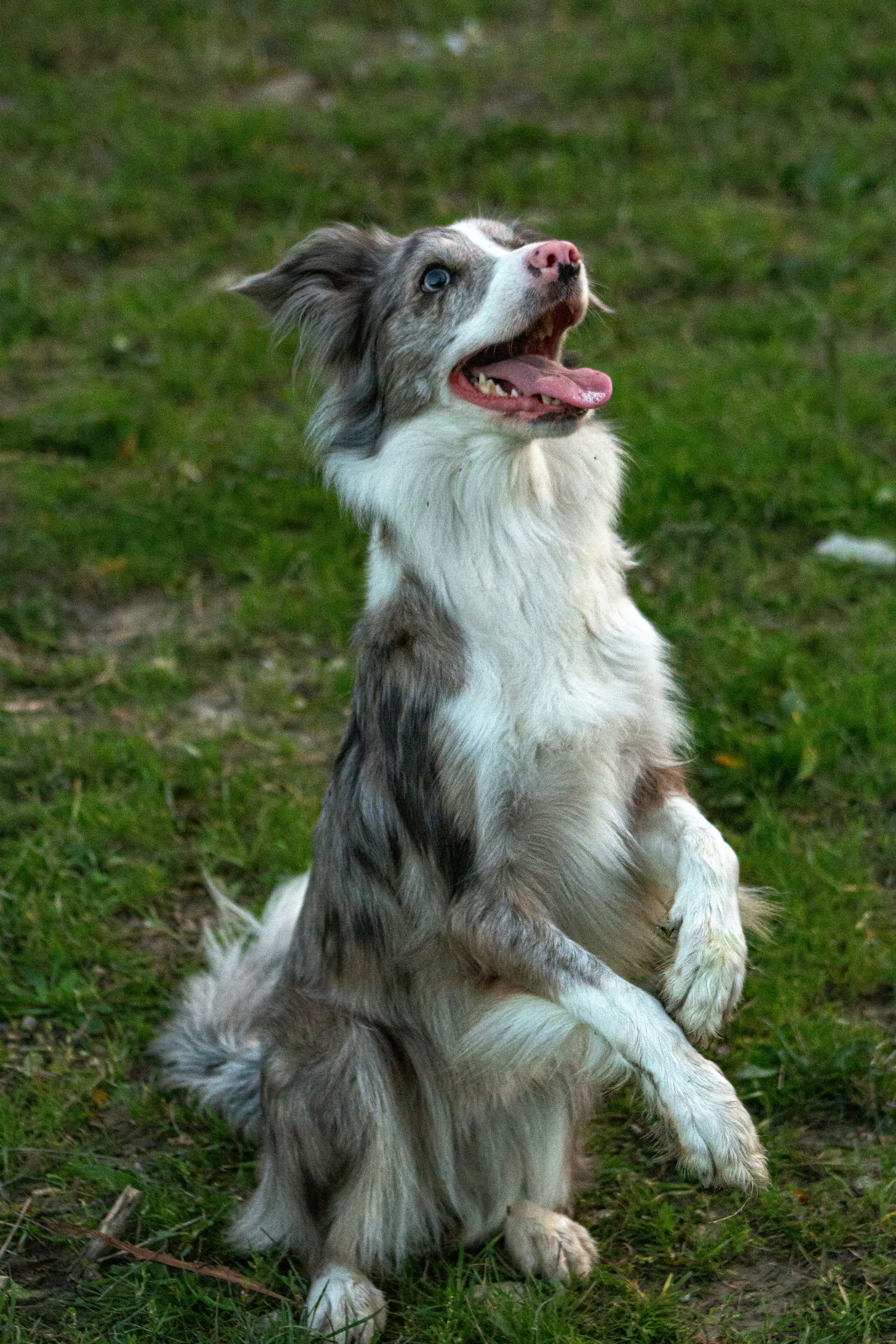 Photo by stepan_konev