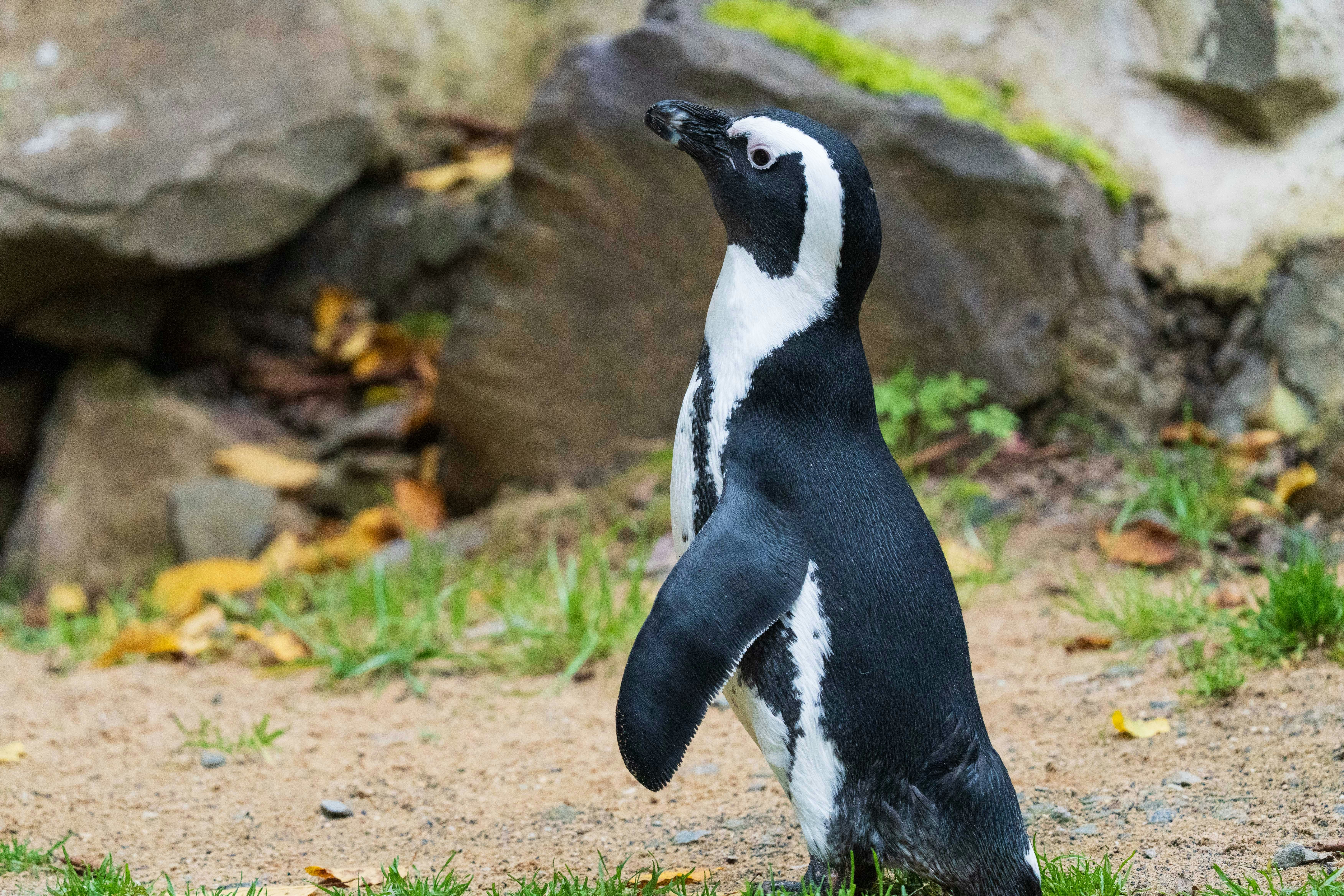 Photo by masoodaslami