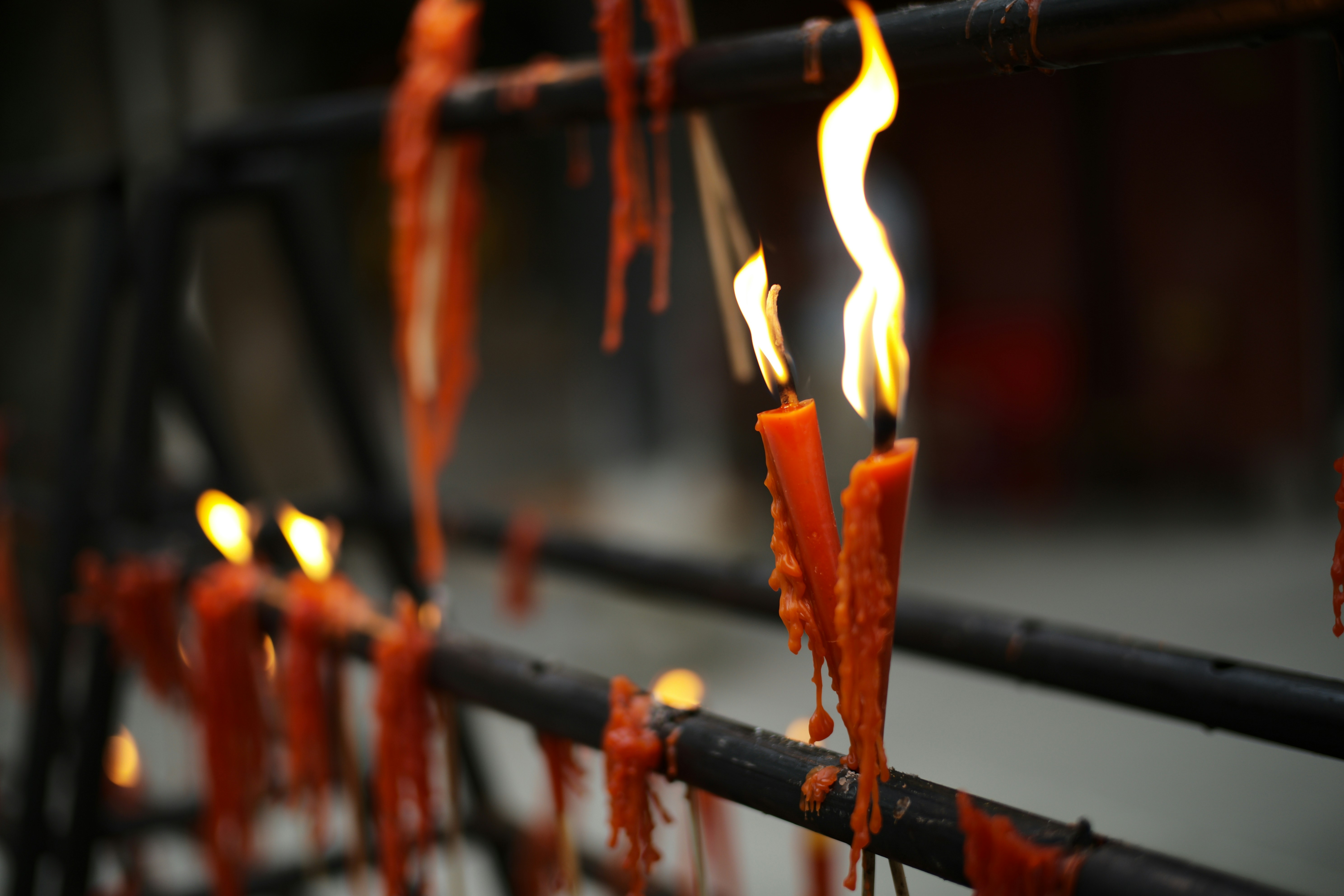 Developing Your Tarot Reading Skills