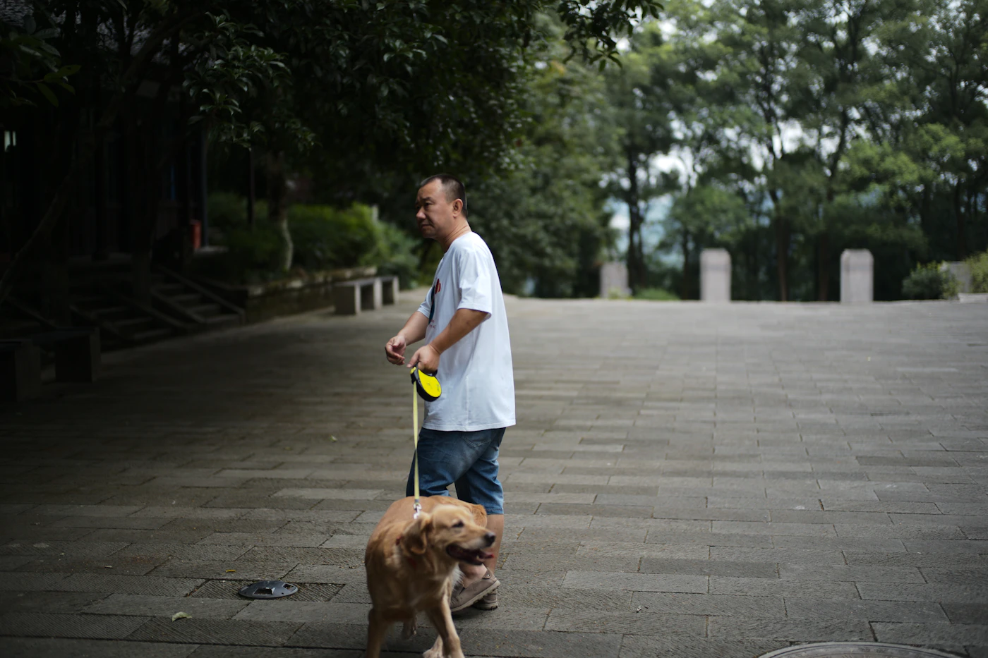 A man walks an outdoor path with his golden retriever working at his side on a loose leash