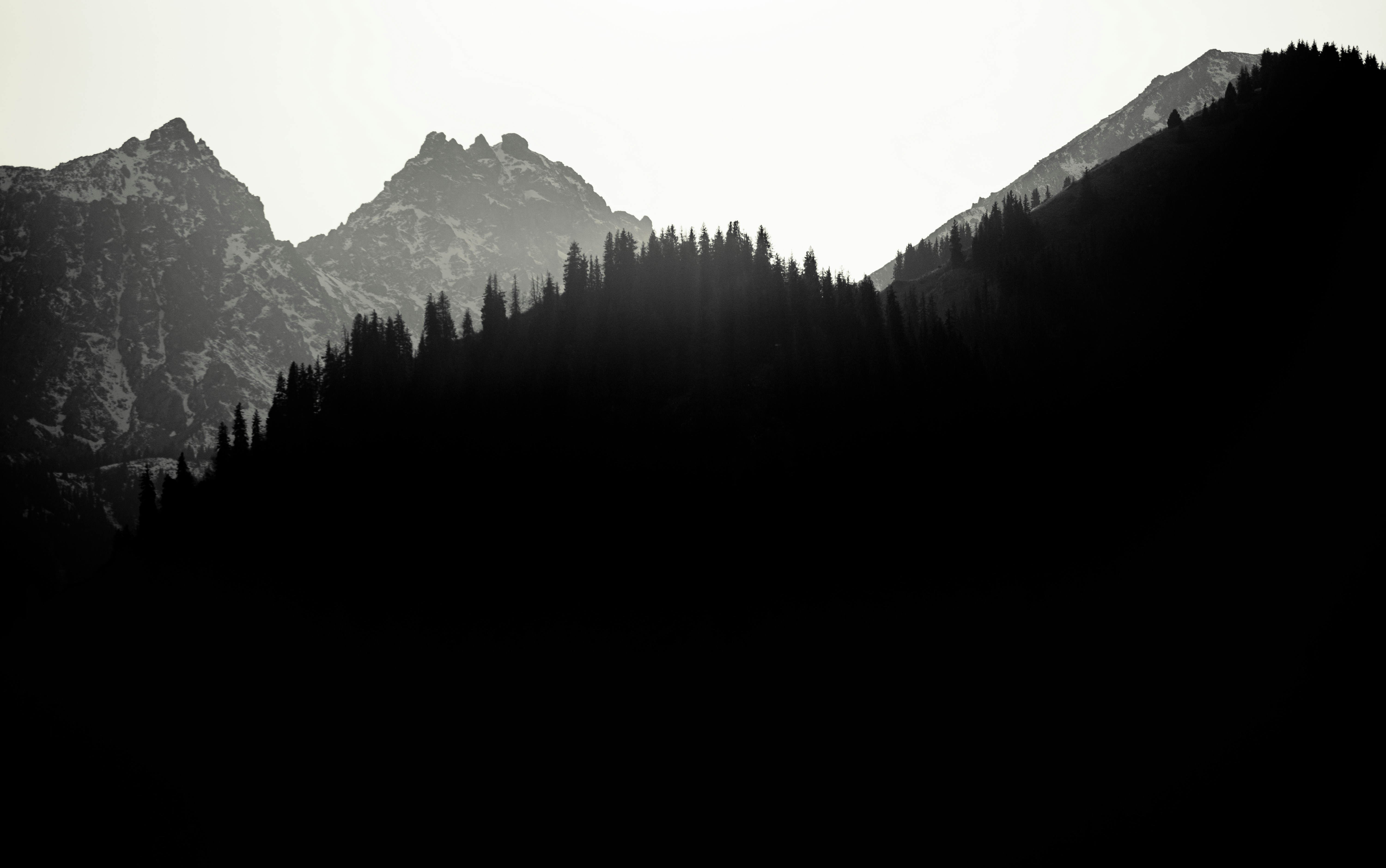 Silhouetted pine trees against misty mountains at dawn