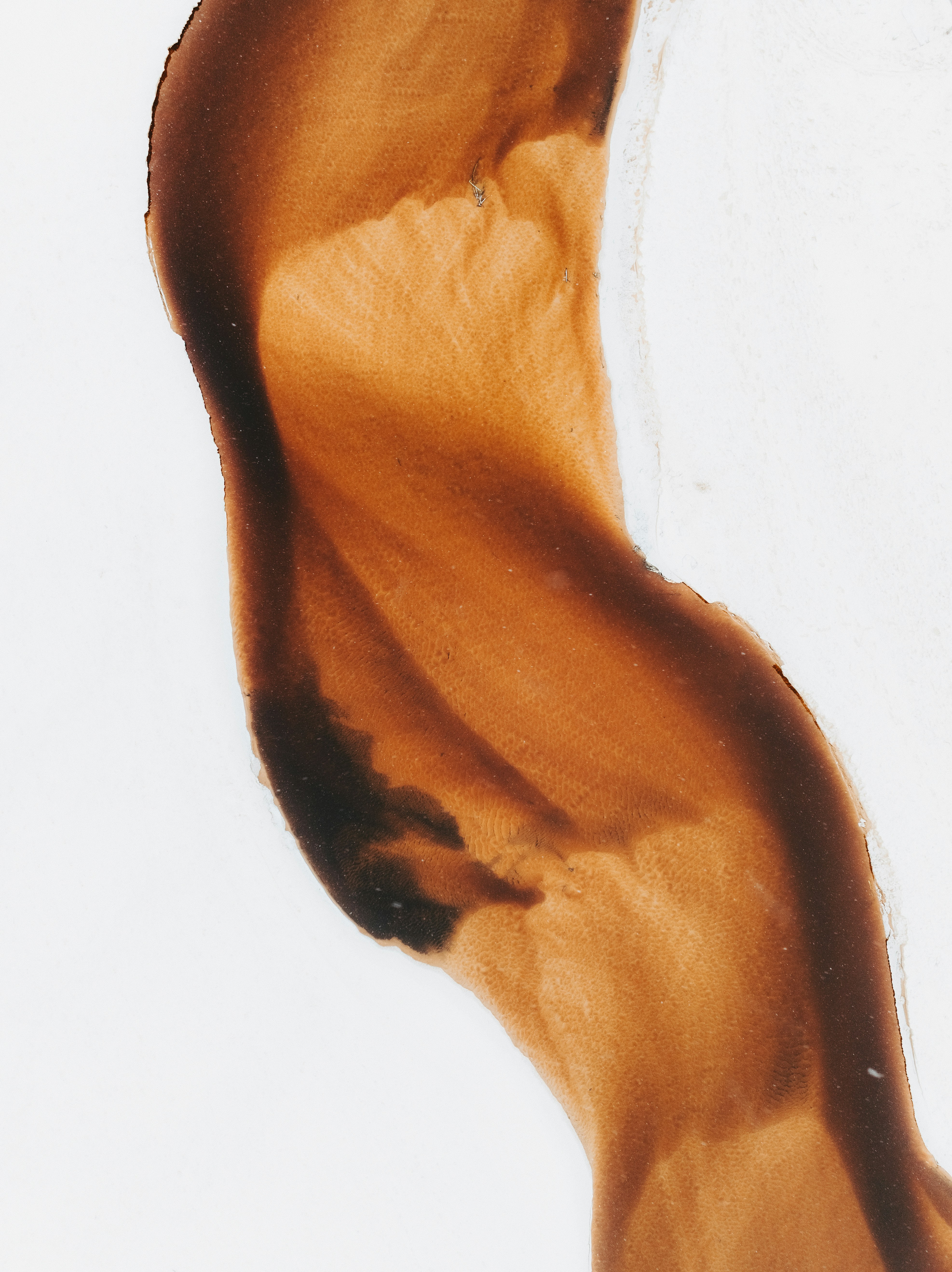 Abstract brown and white swirling patterns