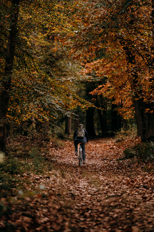 Cycliste sur une allée forestière couverte de feuilles mortes