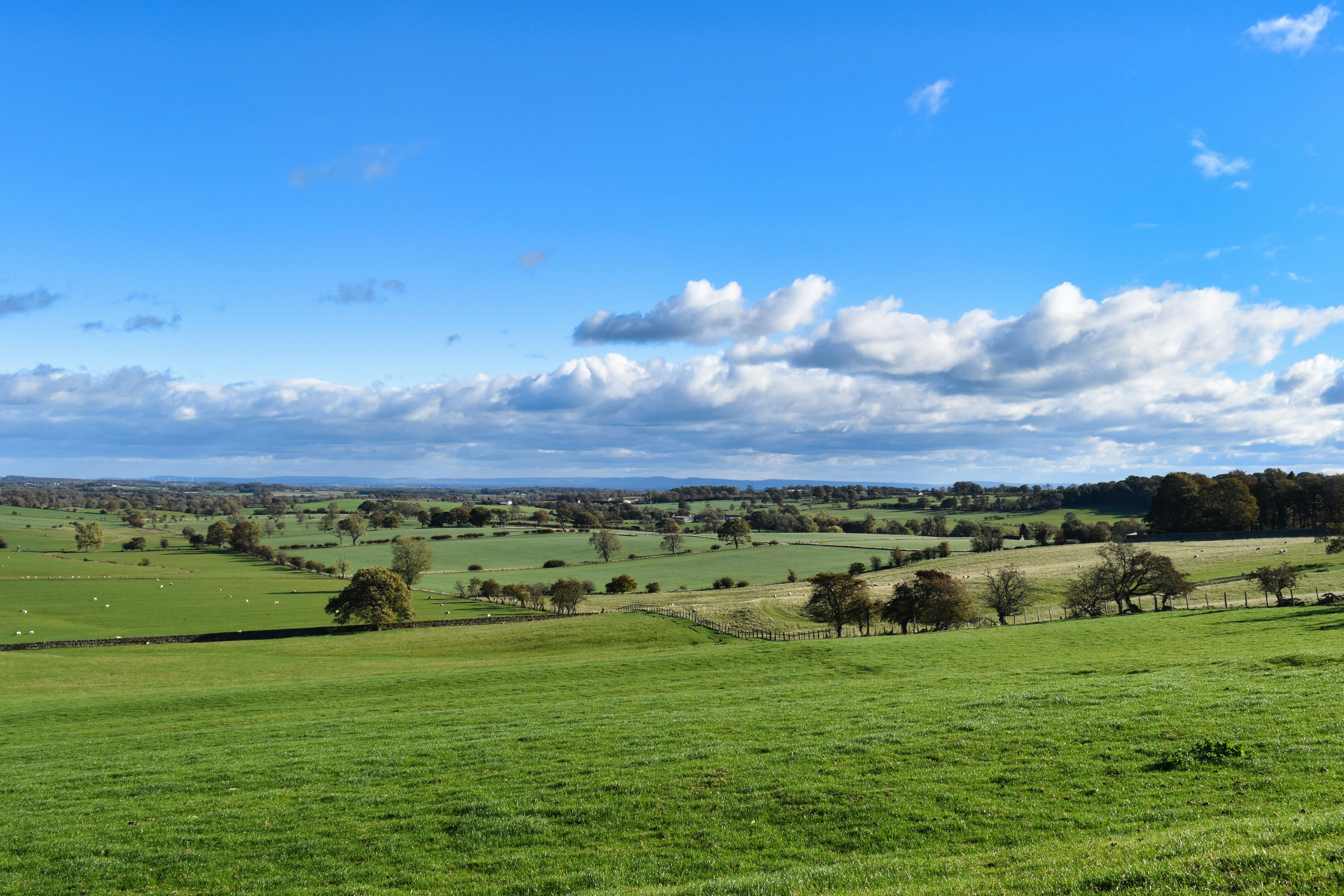 Photo by andrew_hall