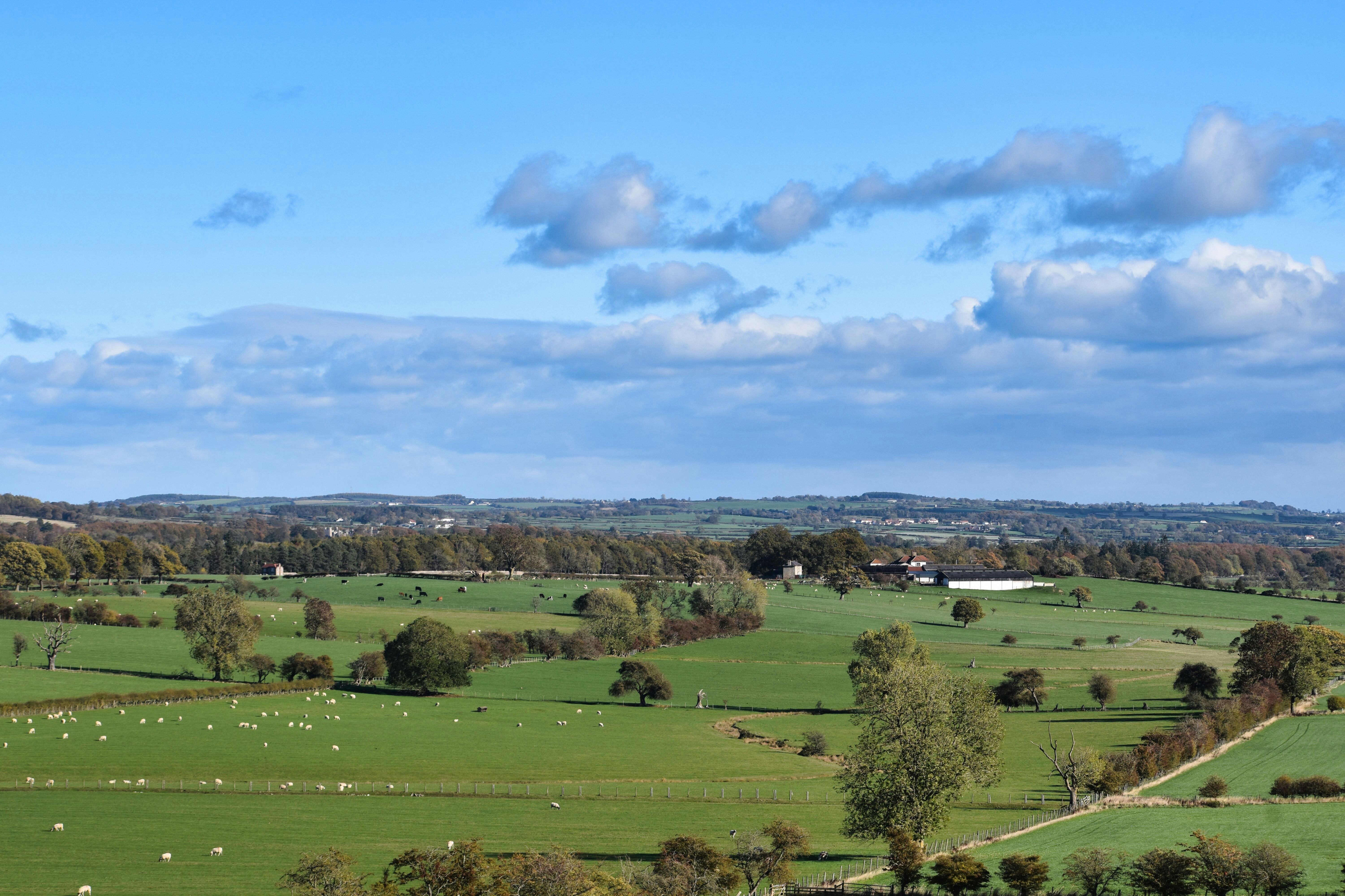 Photo by andrew_hall