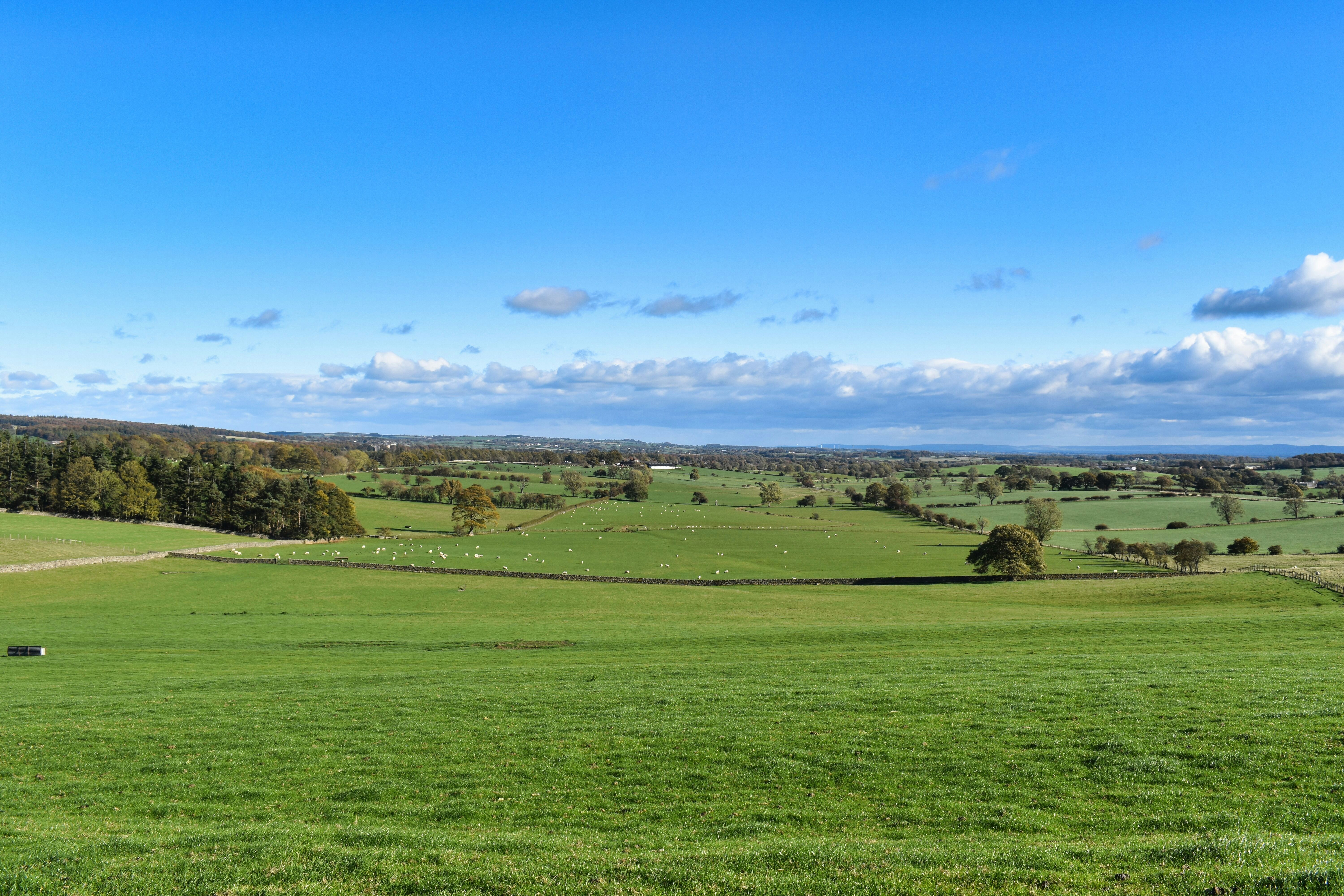 Photo by andrew_hall