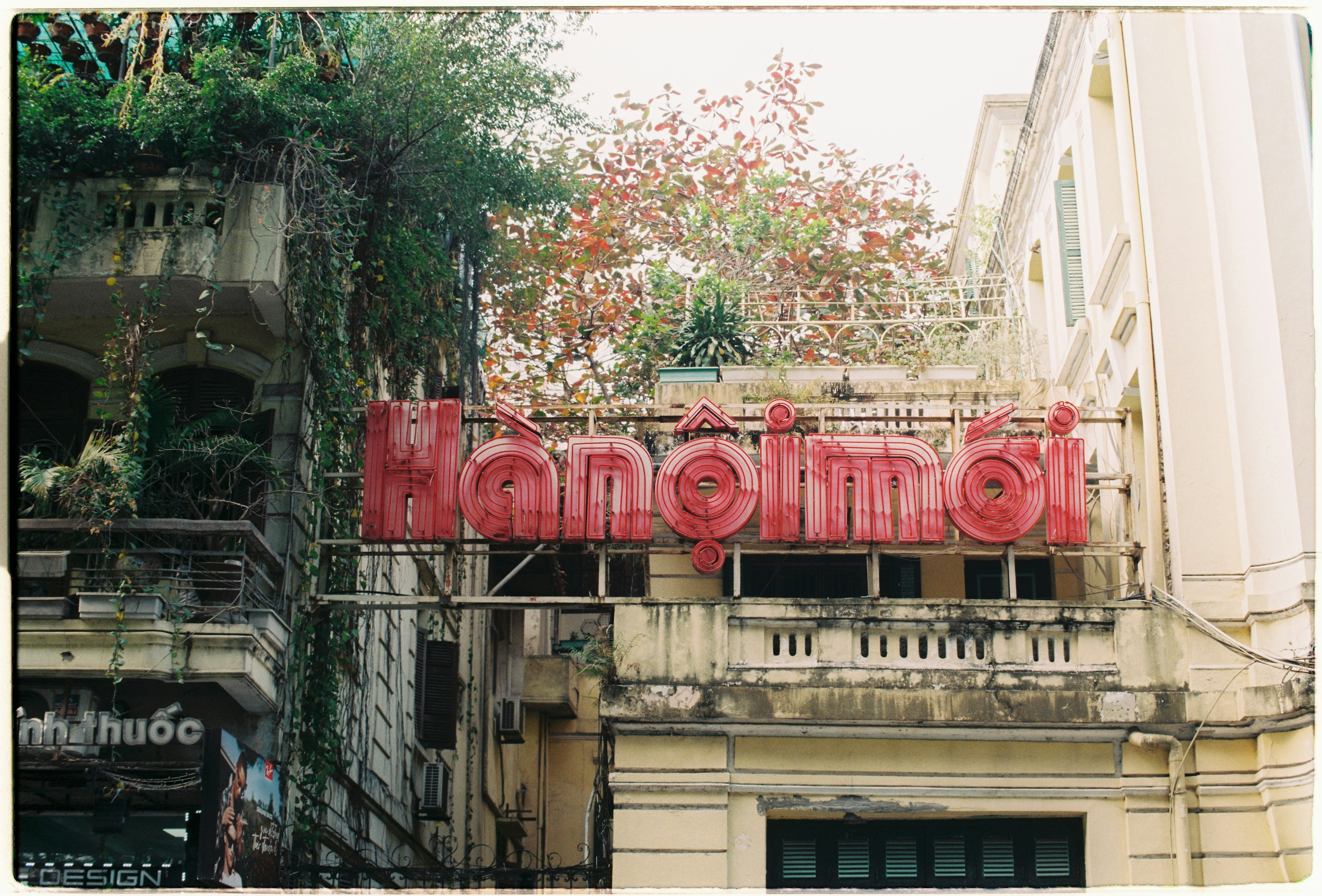 Red sign on old building with overgrown plants