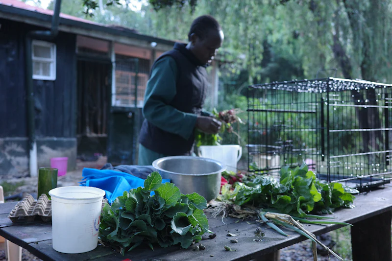 Fresh vegetables being prepared on a table
