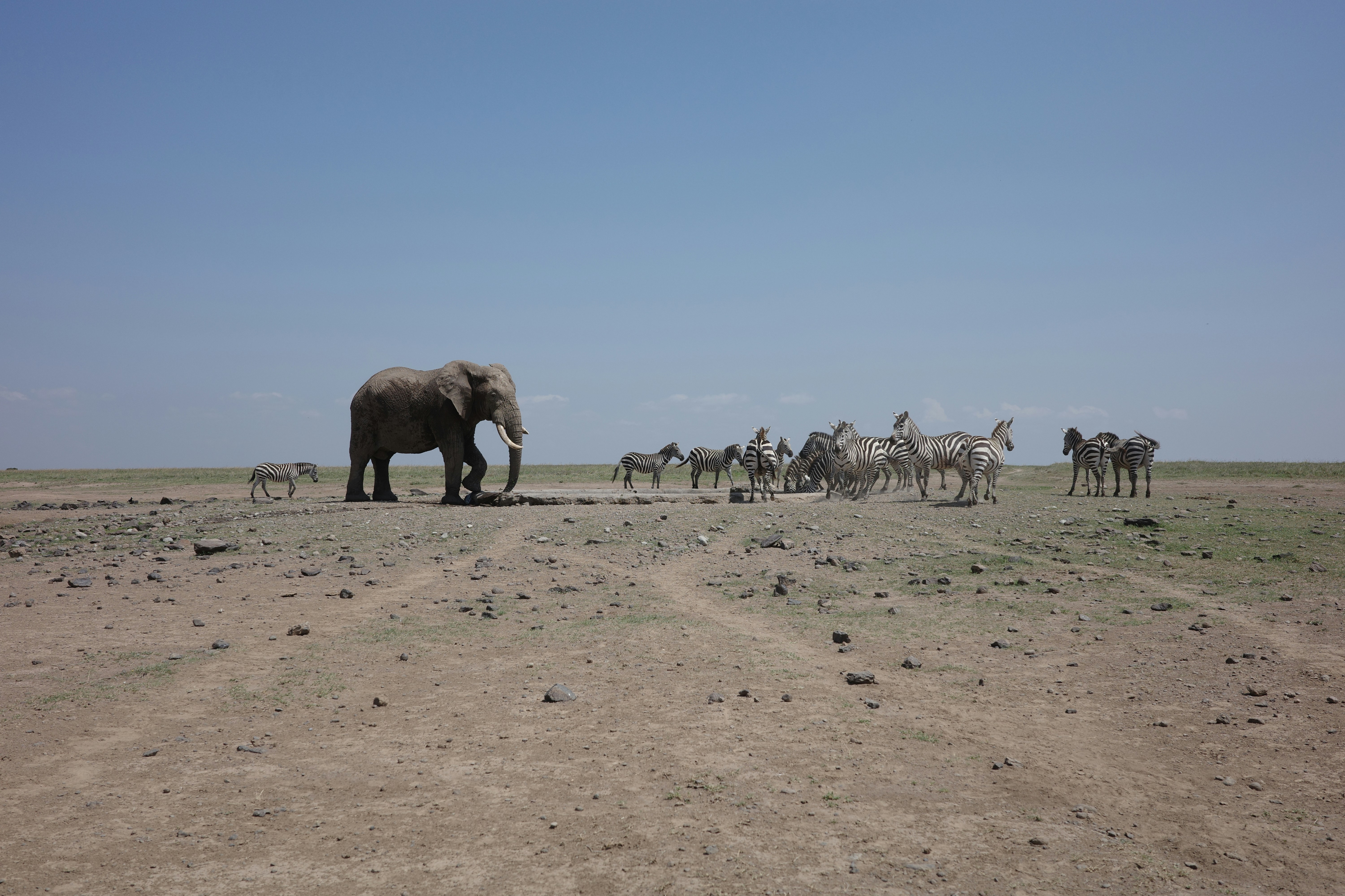 Photo by jeroenoverschie