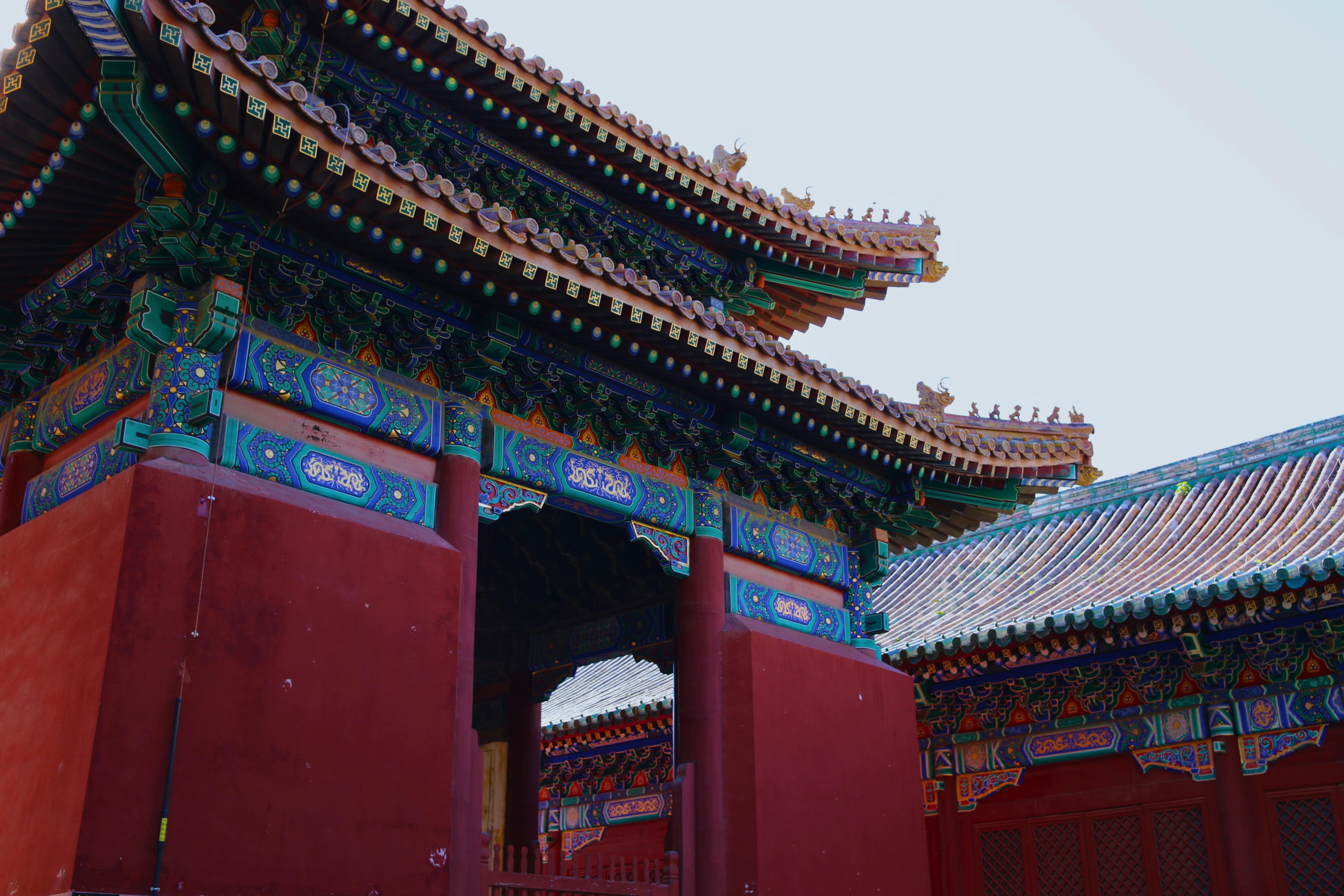 Photo by brunafisantos