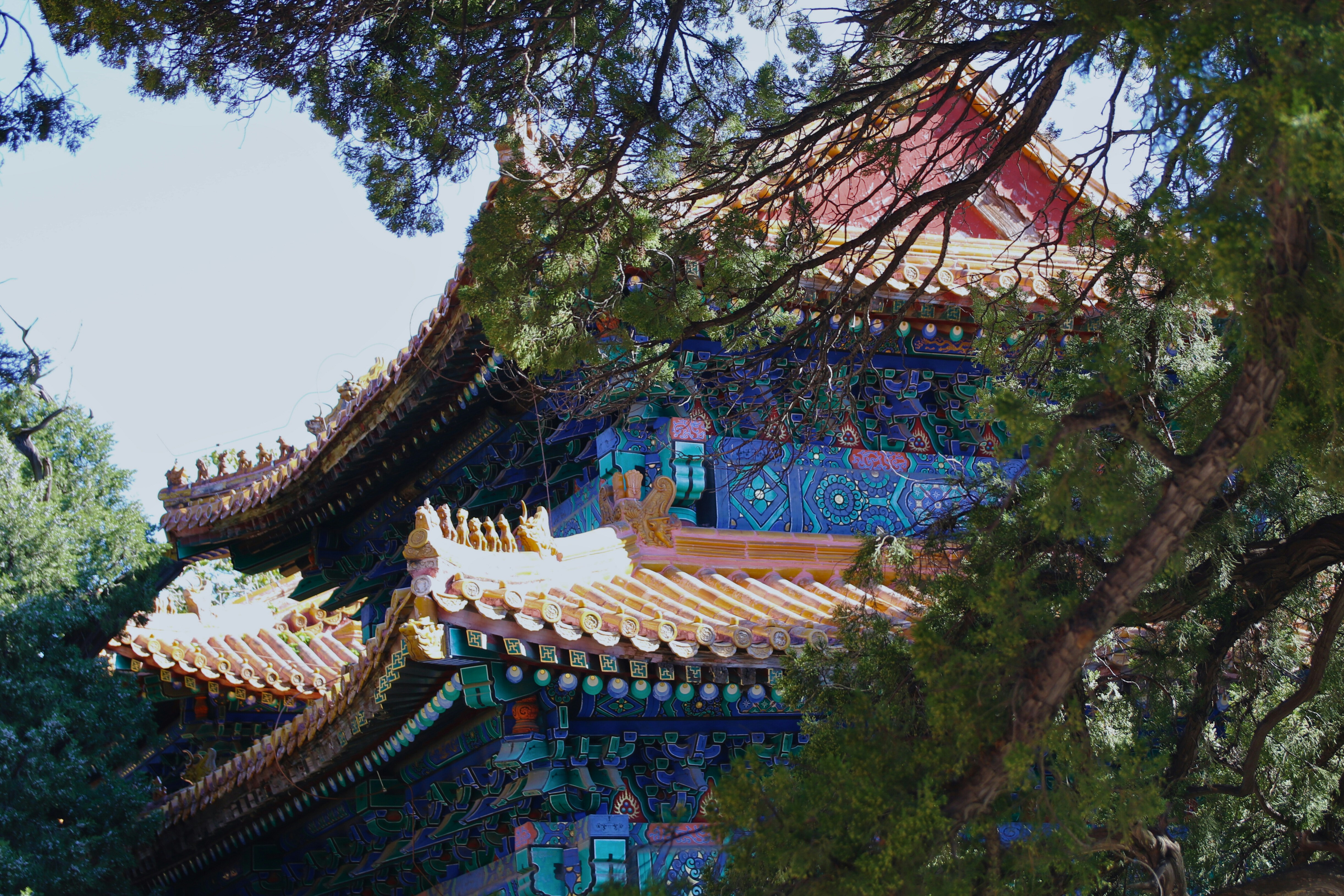 Photo by brunafisantos