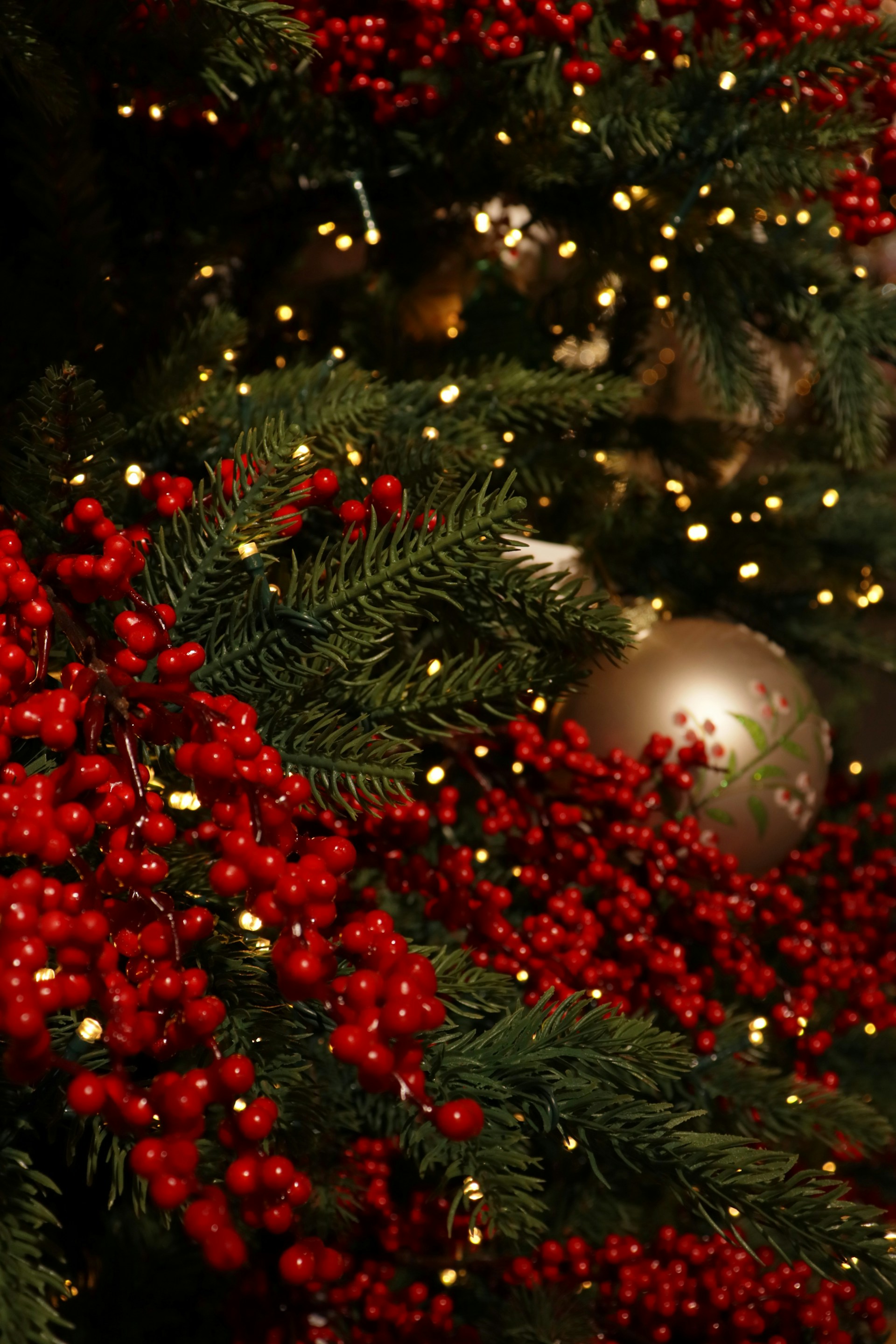Close-up of a christmas tree with red berries and lights.