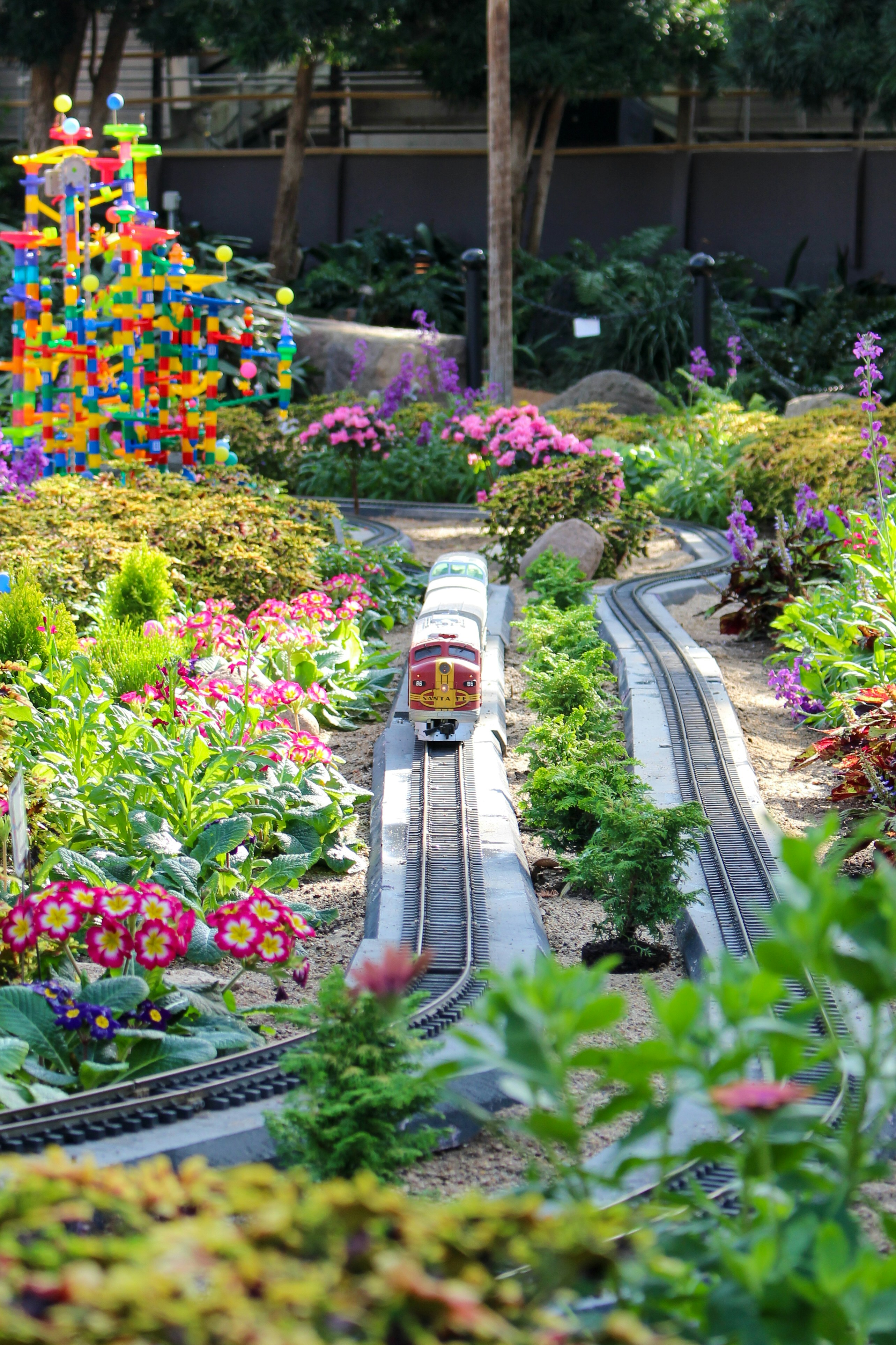 Model train travels through a colorful garden display.