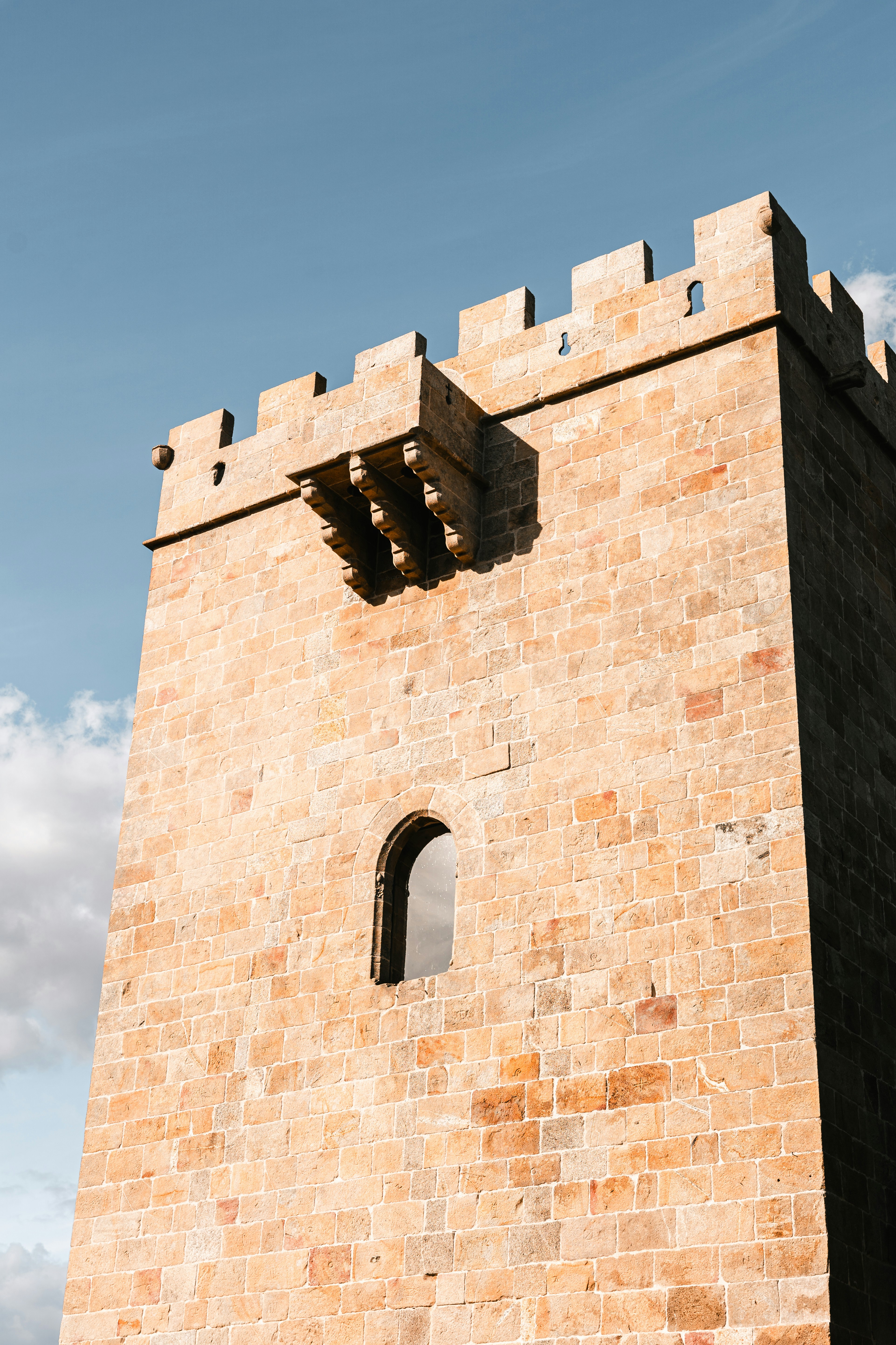 Photo by tiago_f_ferreira