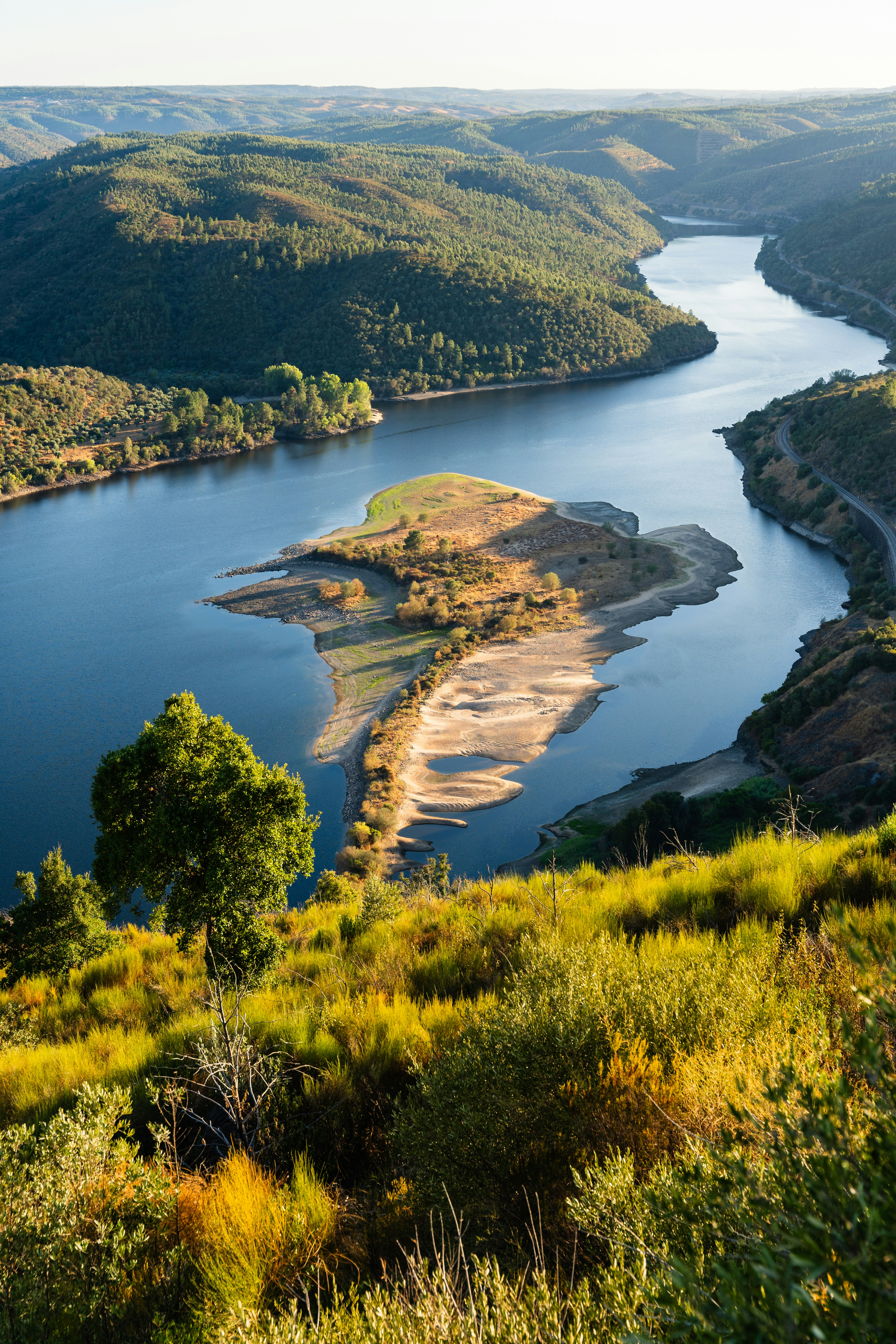 Ein gewundener Fluss fließt durch ein üppiges, grünes Tal.