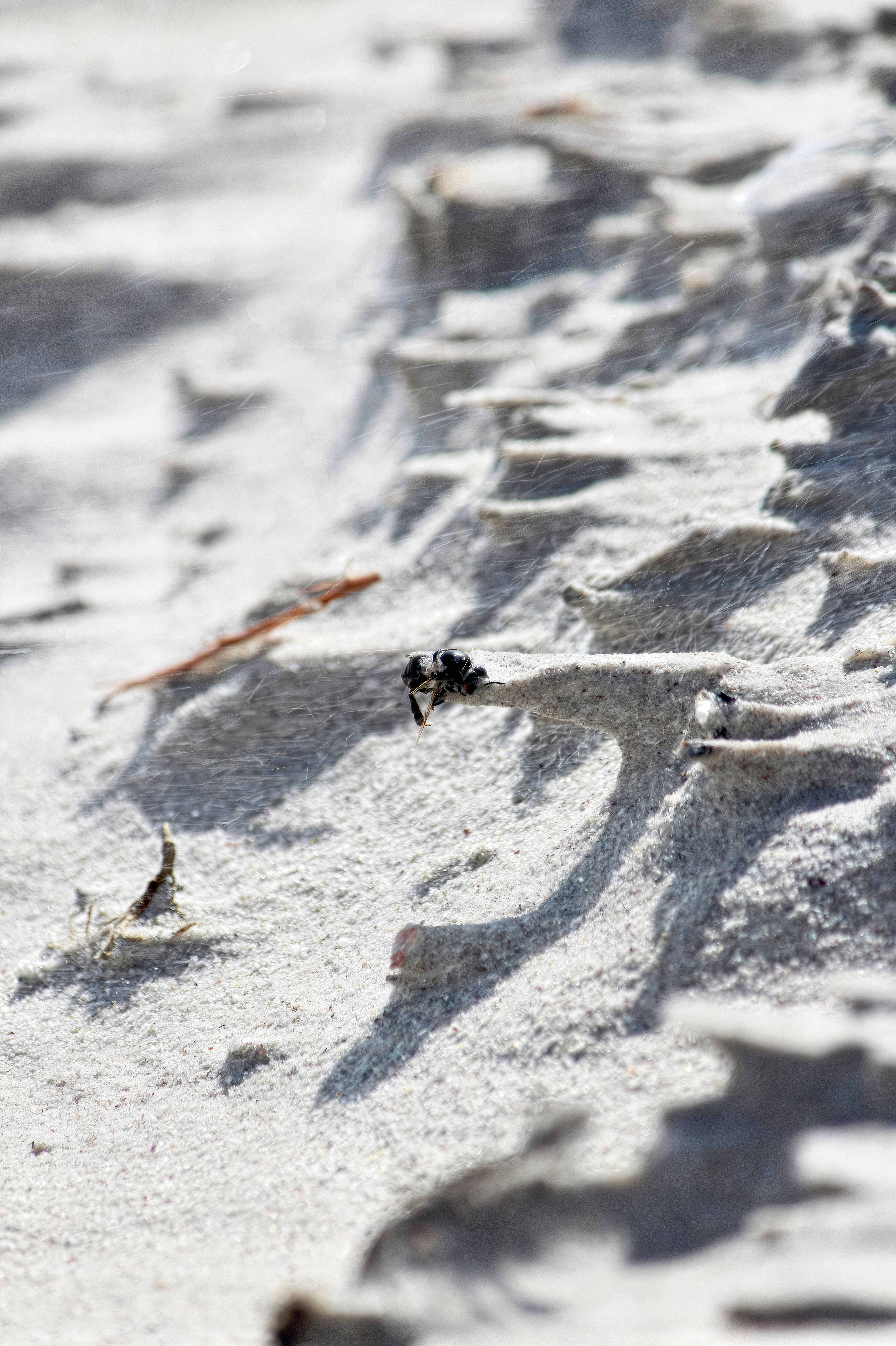 Photo by henniestander