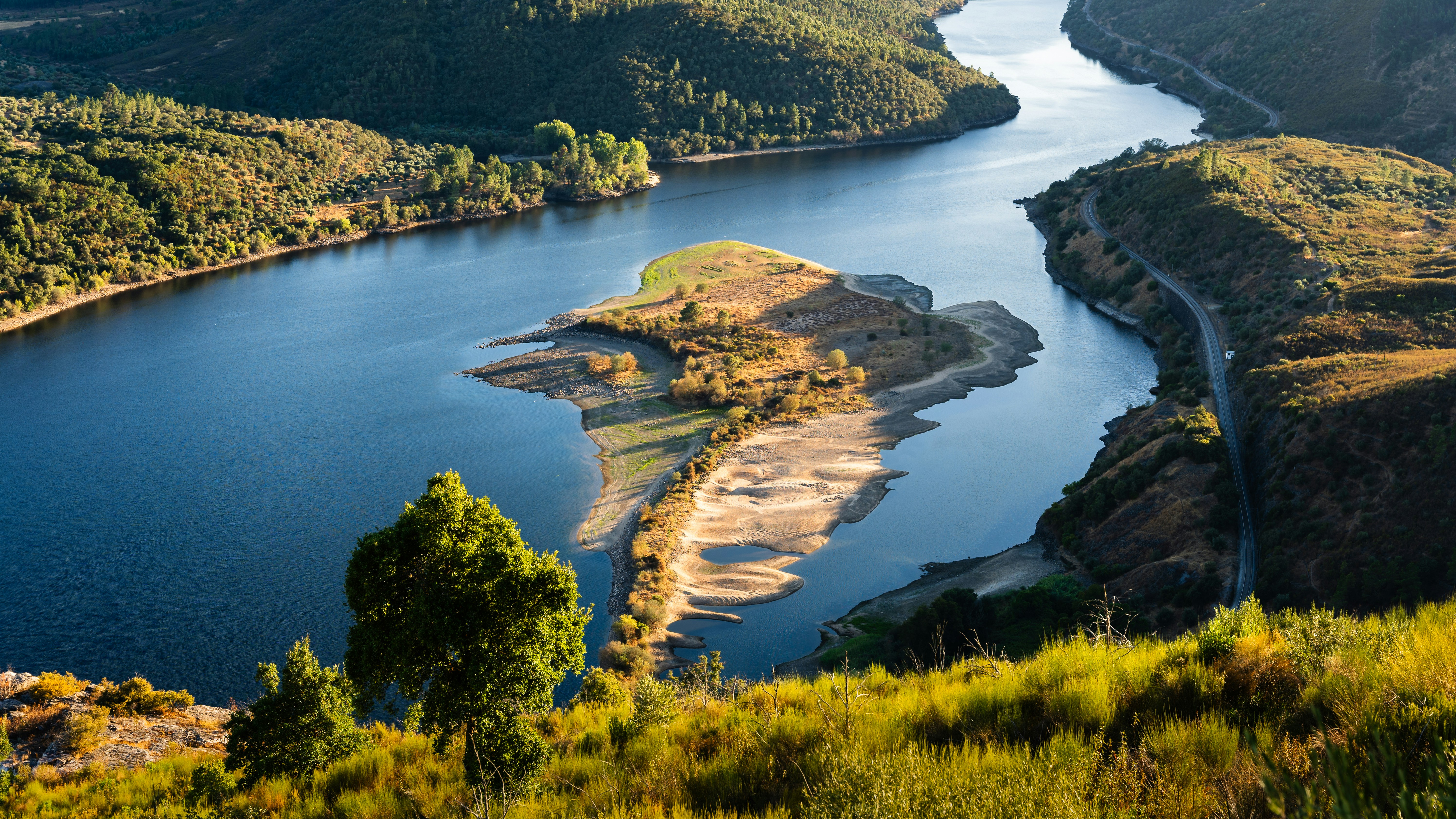 Kurviger Fluss durch sanfte Hügel und Bäume